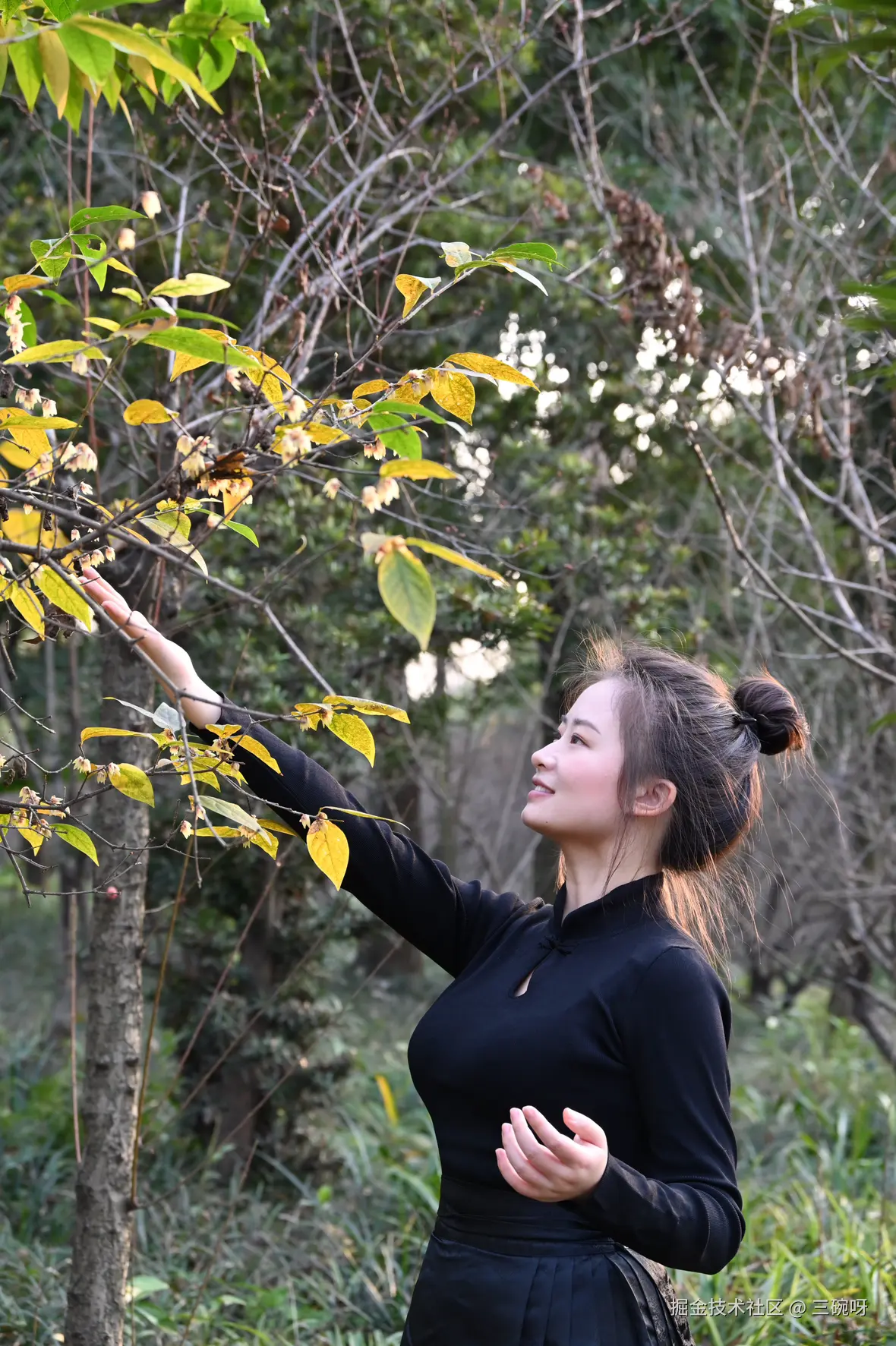 三碗呀于2025-01-20 10:20发布的图片