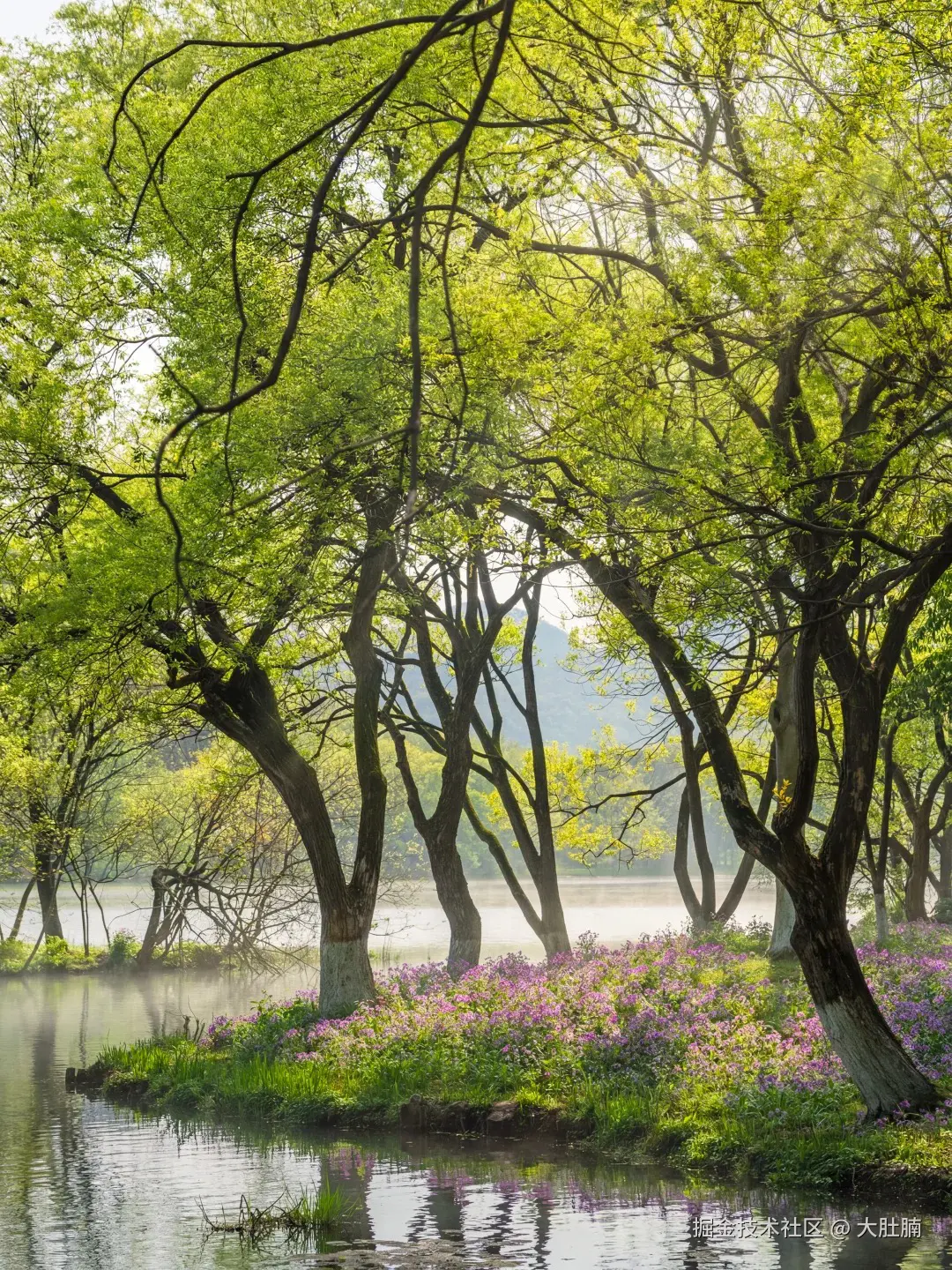 大肚腩于2026-03-09 20:38发布的图片