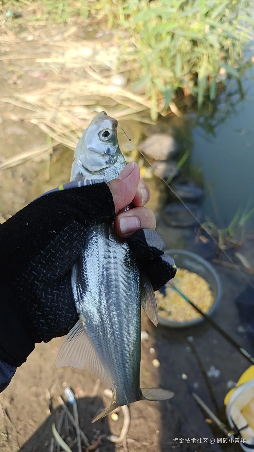 搬砖小青年于2024-10-12 14:26发布的图片