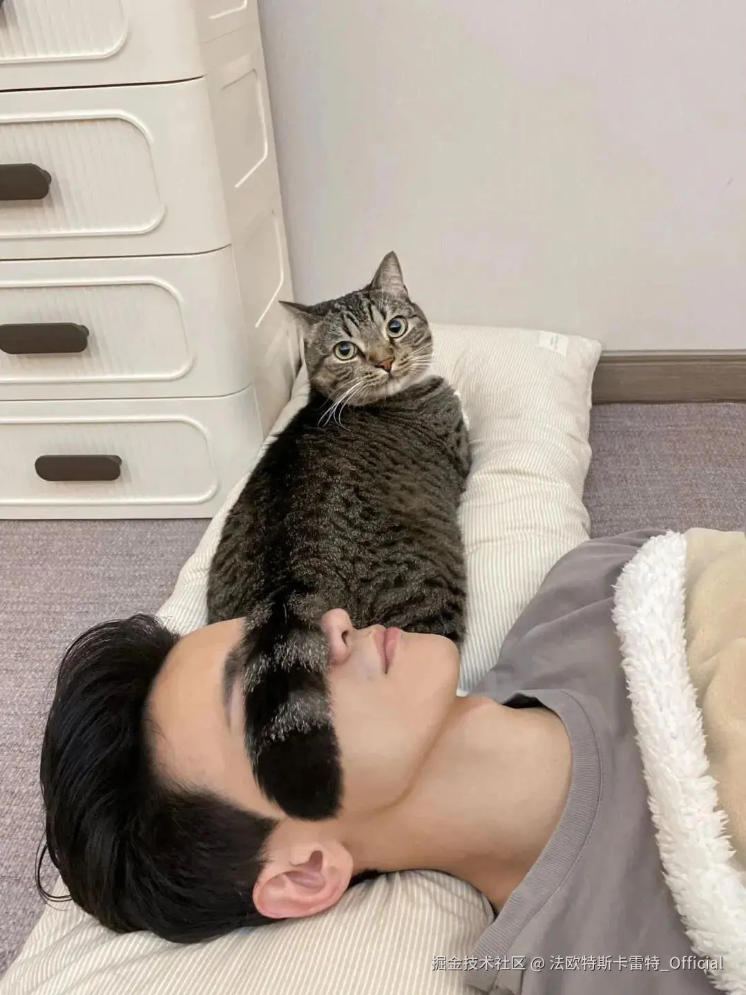 法欧特斯卡雷特_Official于2024-10-31 13:16发布的图片