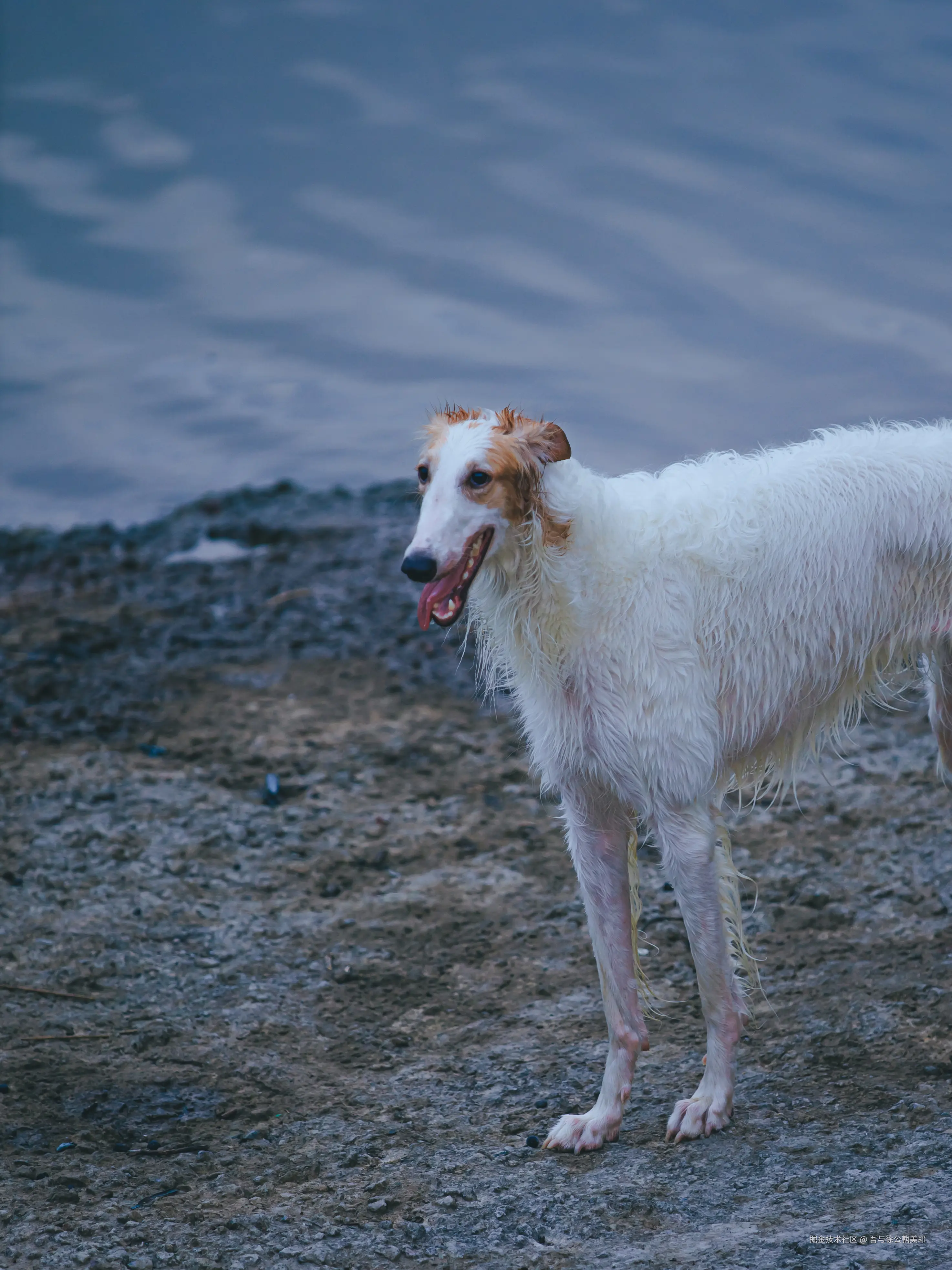 吾与徐公孰美耶于2025-09-04 14:13发布的图片