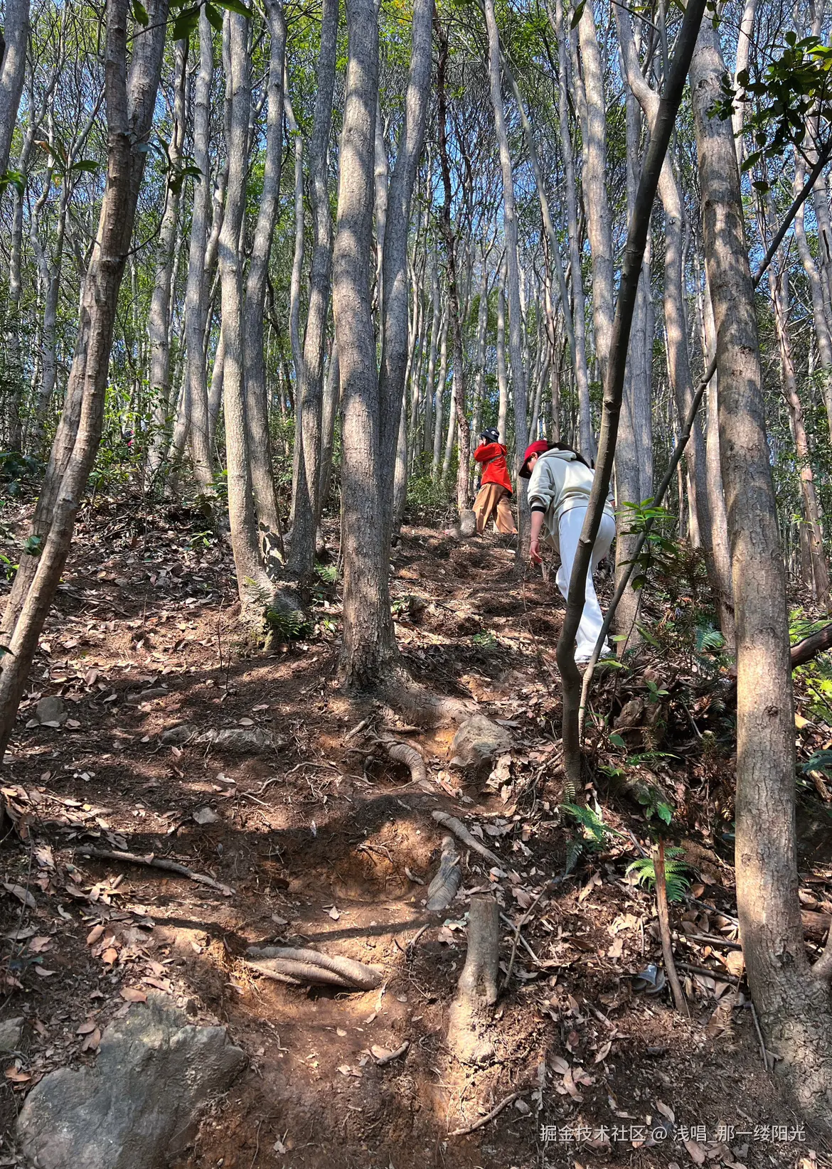 浅唱_那一缕阳光于2026-03-09 10:07发布的图片