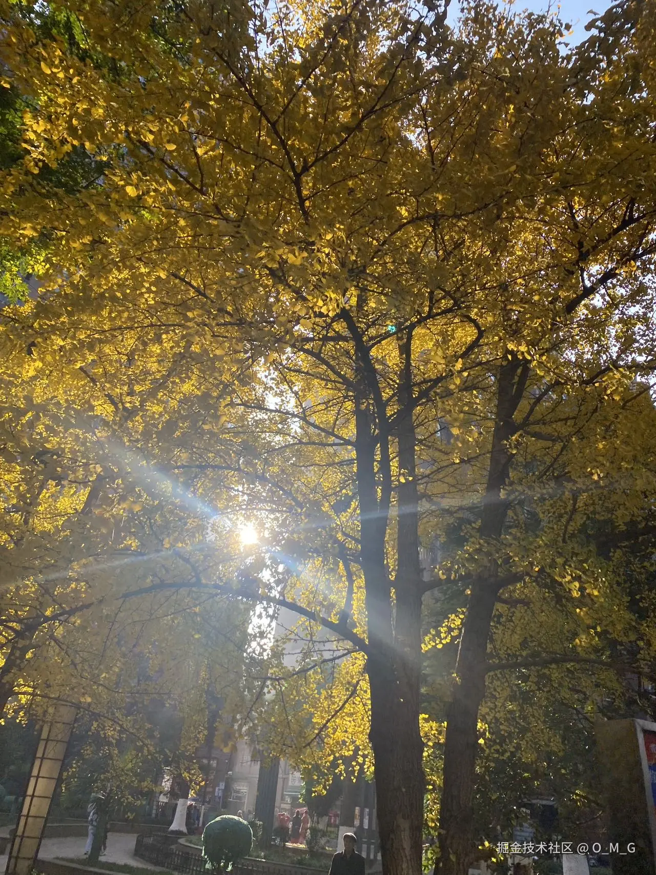 O_M_G于2025-01-07 16:36发布的图片