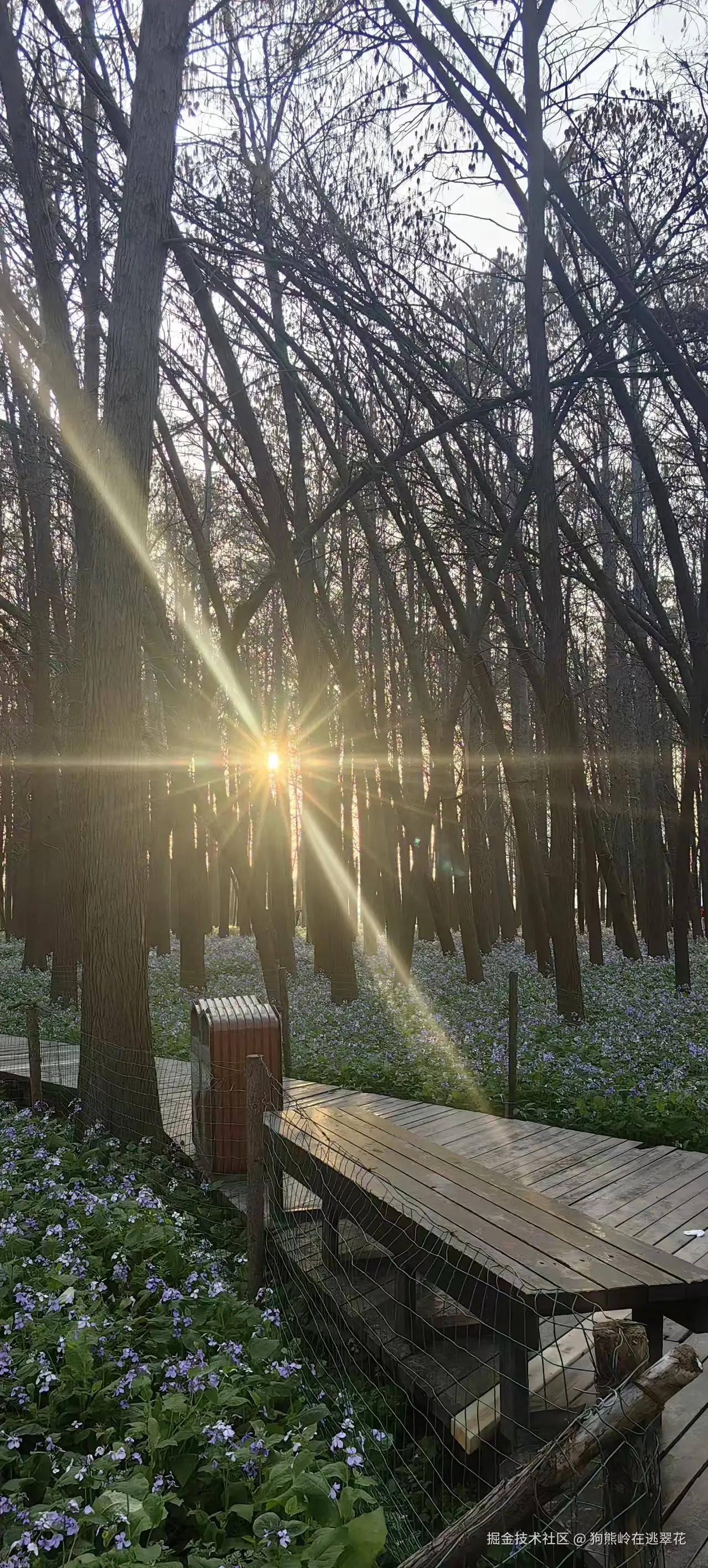 狗熊岭在逃翠花于2026-03-23 10:18发布的图片