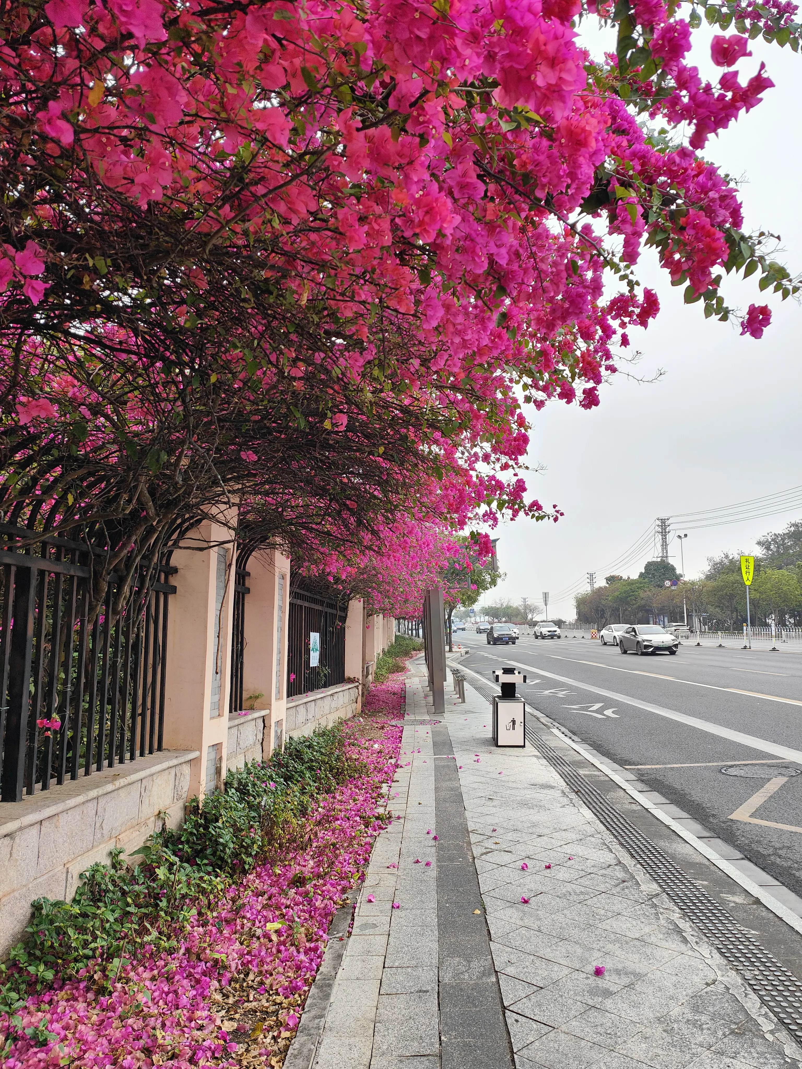 媛媛啊9813于2026-03-28 23:19发布的图片