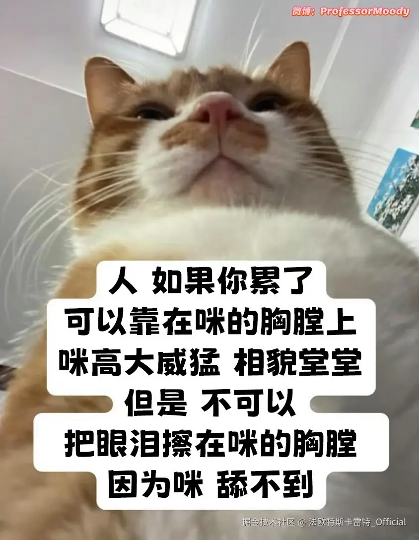 法欧特斯卡雷特_Official于2025-07-17 17:18发布的图片