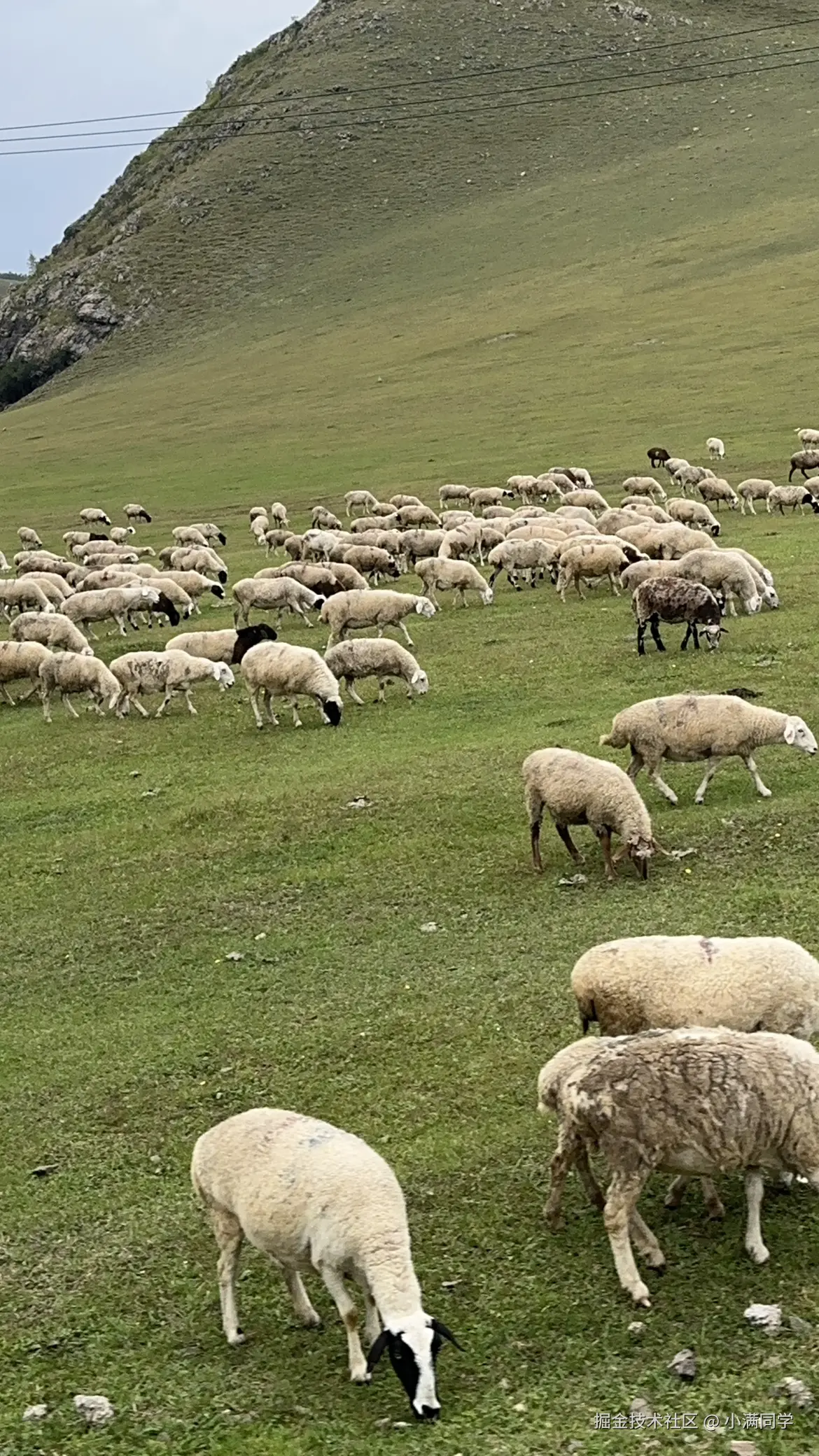 小满同学于2025-11-21 13:06发布的图片