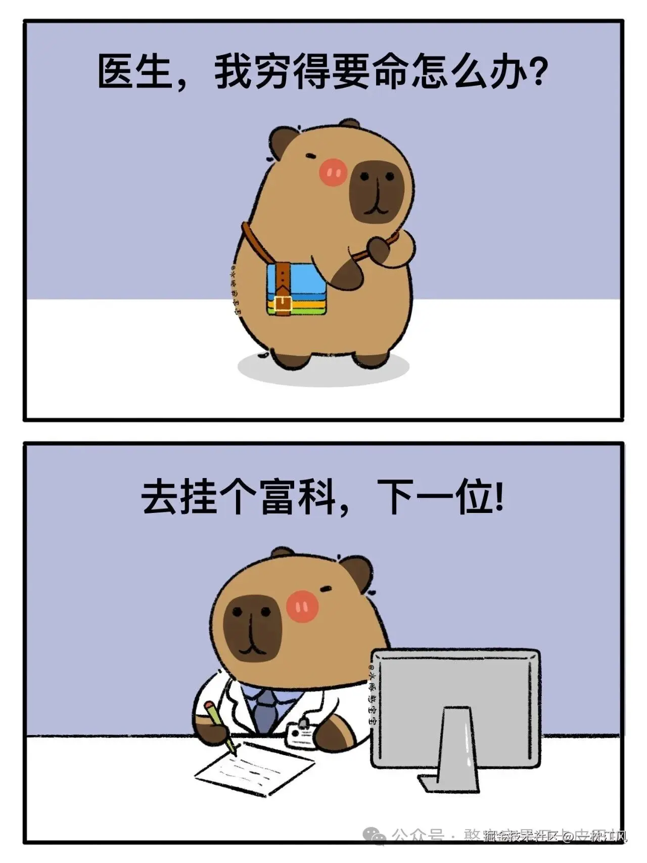 一枕江风于2026-02-03 03:14发布的图片