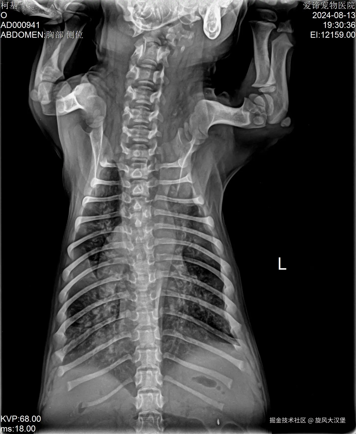 旋风大汉堡于2024-08-14 07:47发布的图片