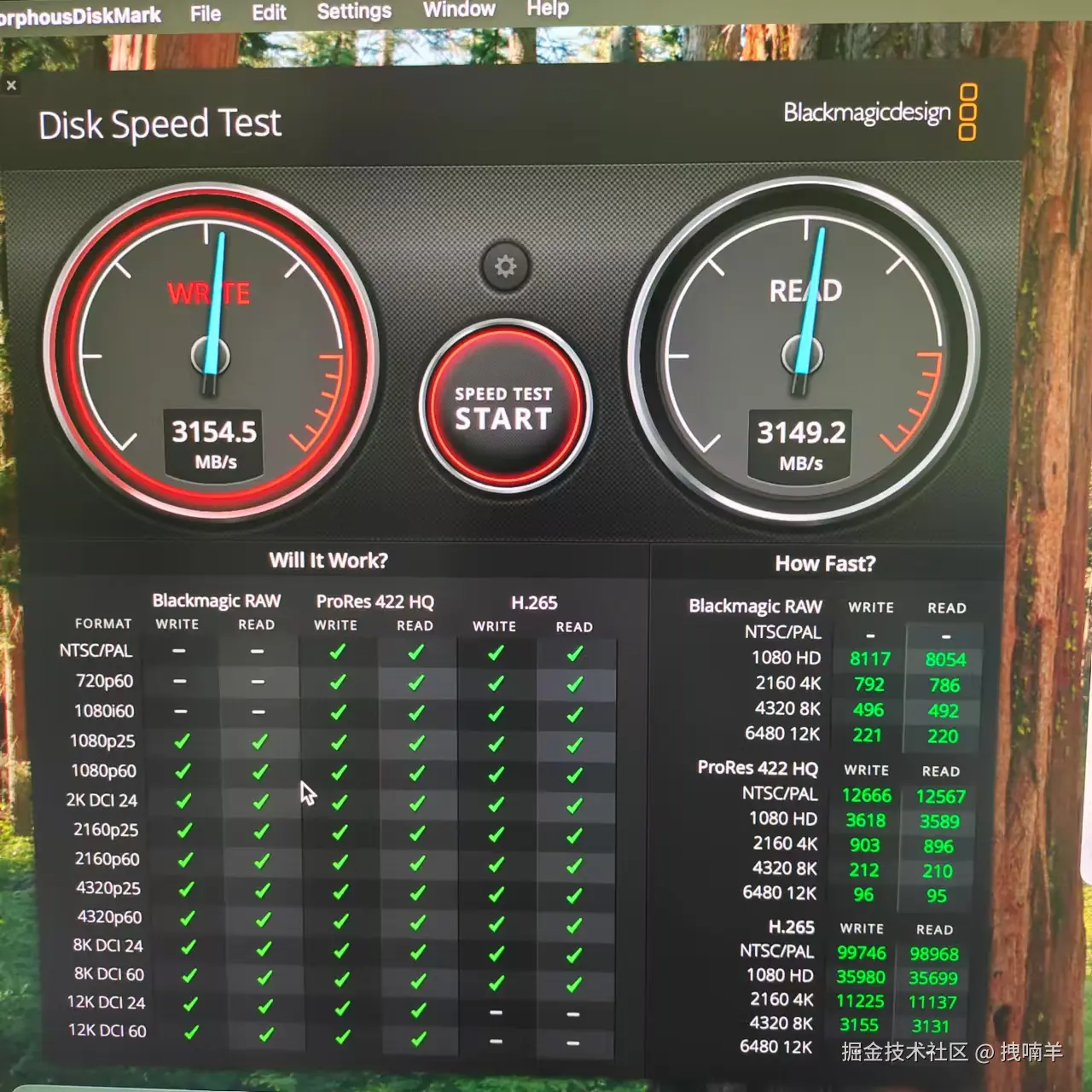 拽喃羊于2024-12-11 13:44发布的图片
