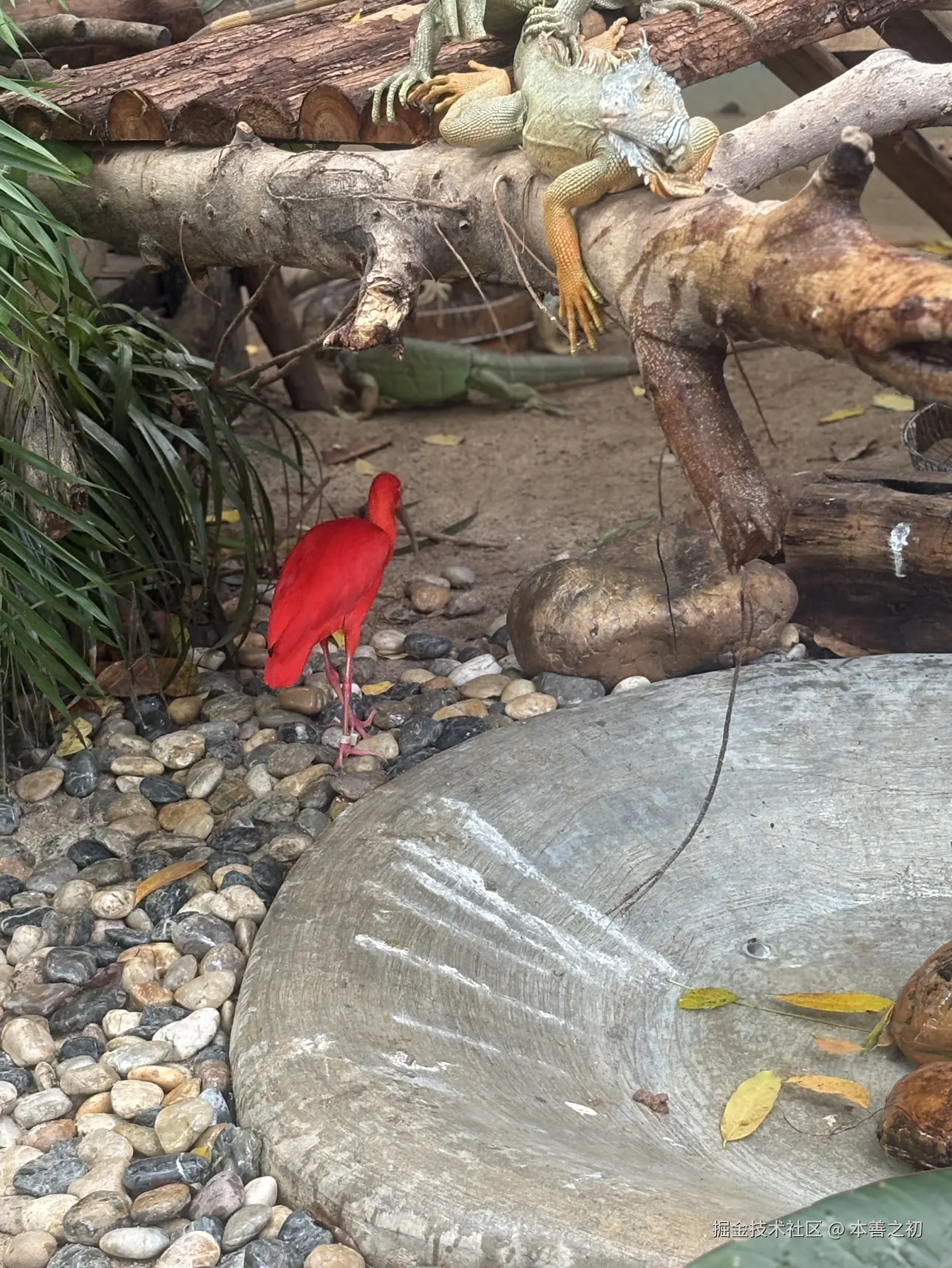 本善之初于2025-05-06 15:14发布的图片