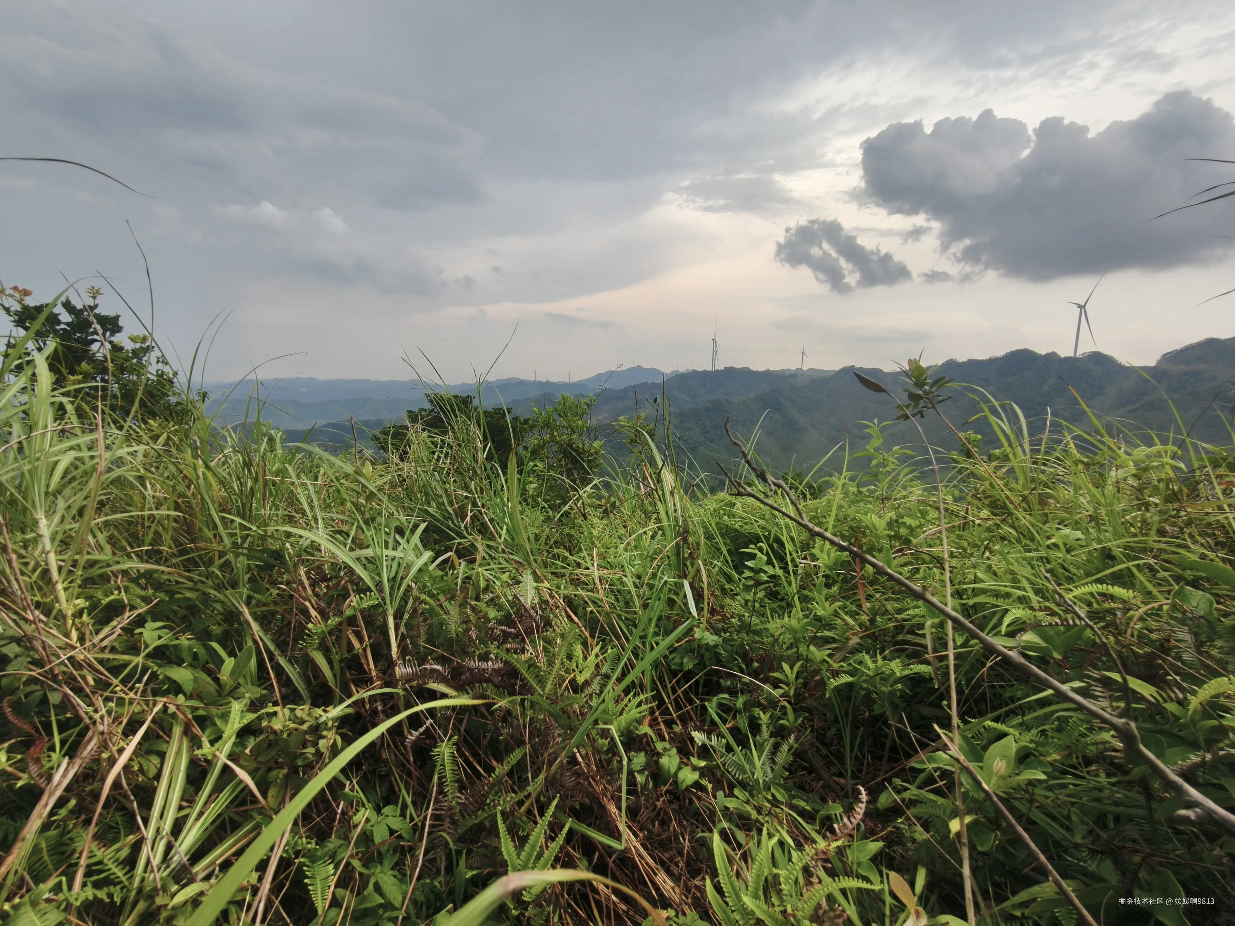 媛媛啊9813于2025-07-20 16:55发布的图片