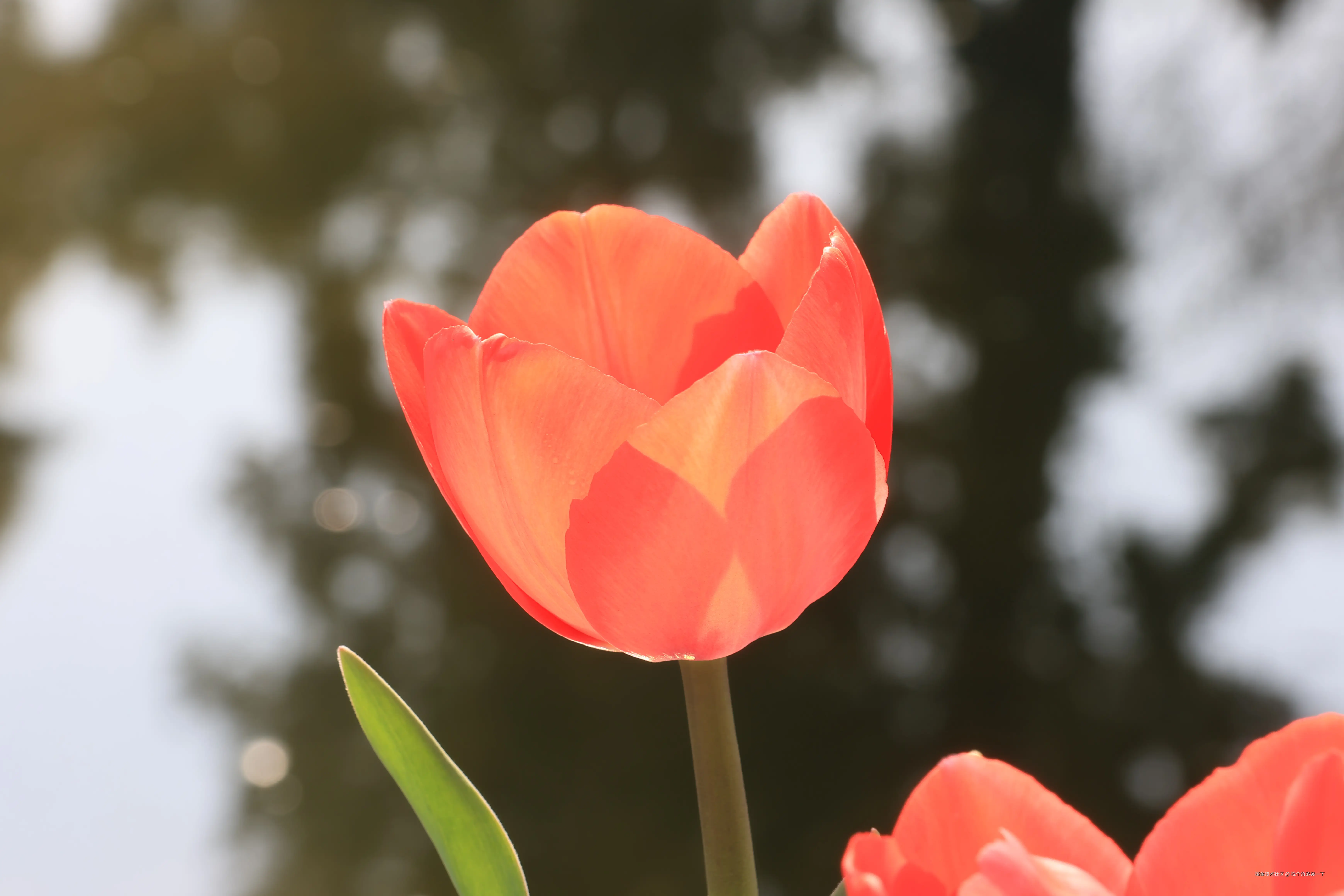 找个角落哭一下于2026-03-23 09:30发布的图片