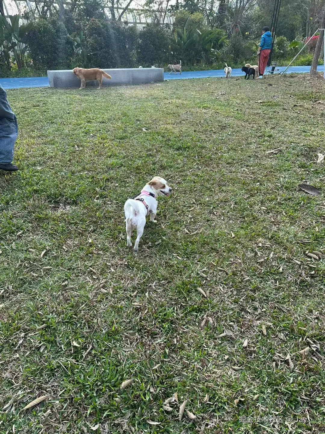 Jay丶于2025-03-10 10:22发布的图片