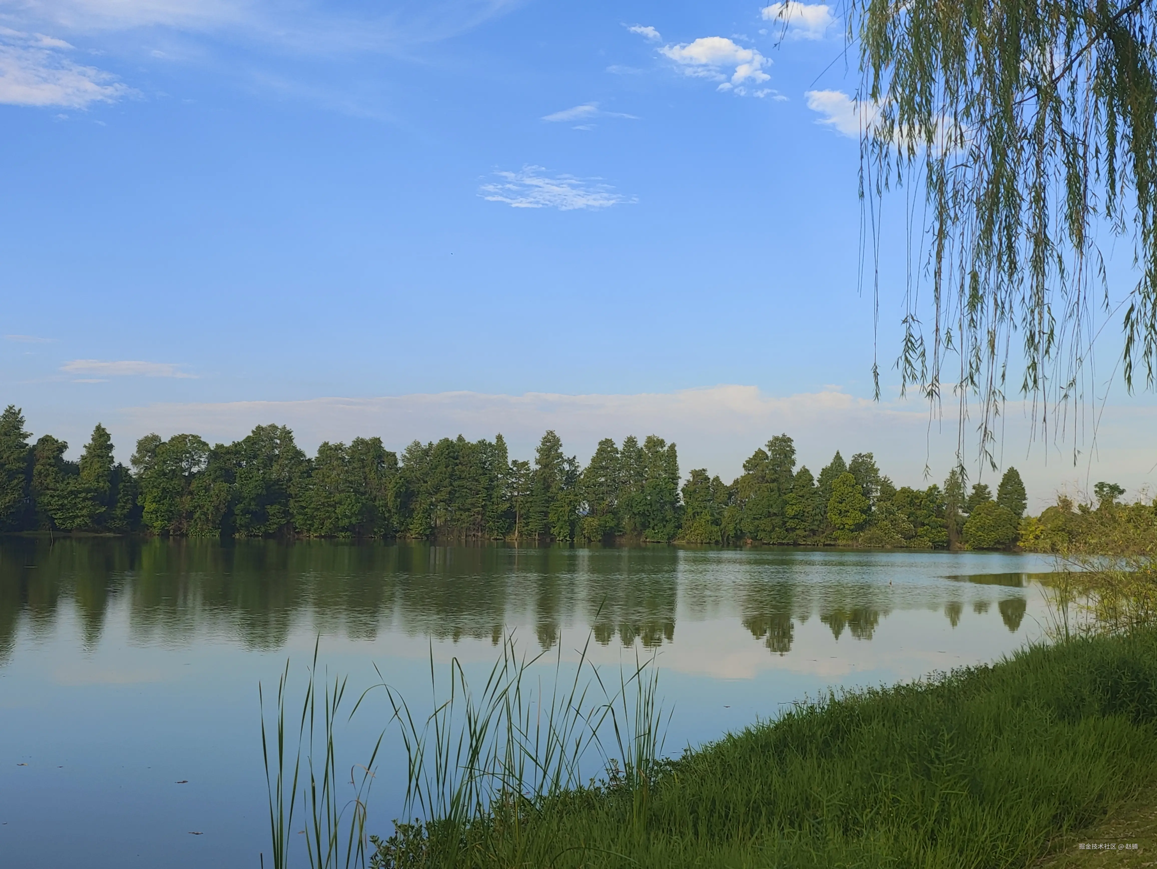 赵镇于2024-07-31 10:16发布的图片