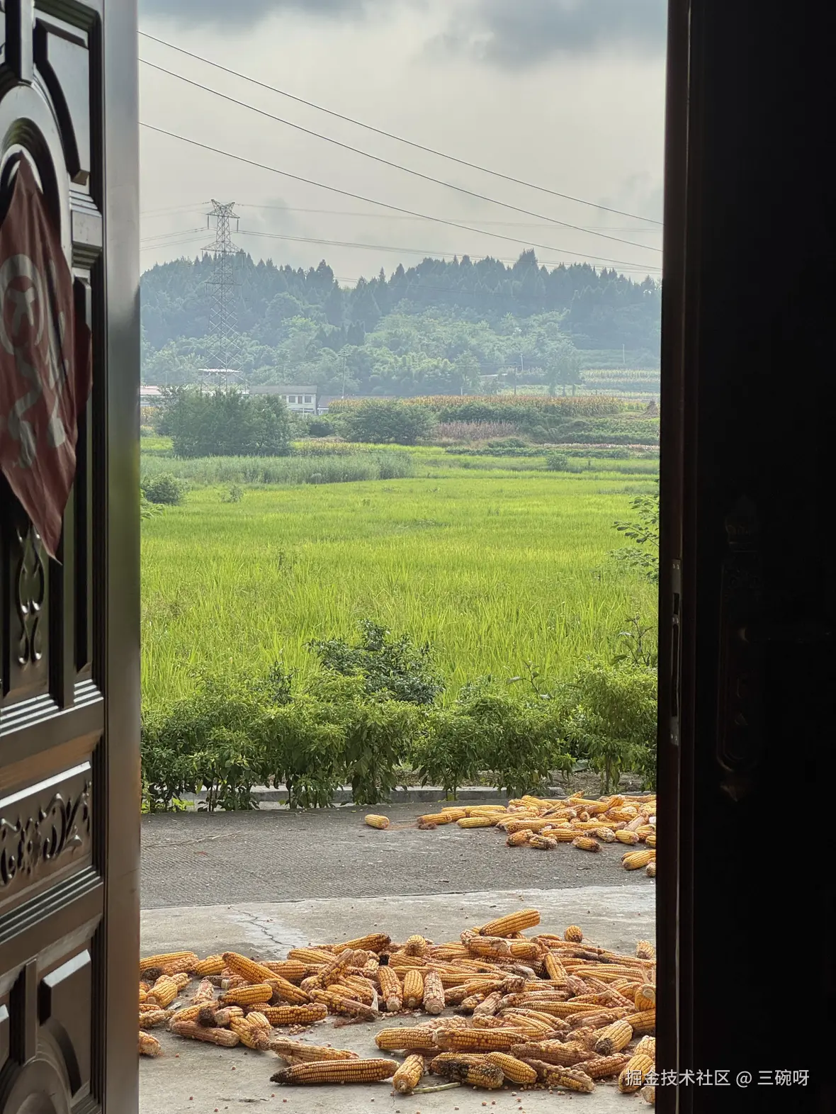 三碗呀于2025-09-10 01:34发布的图片