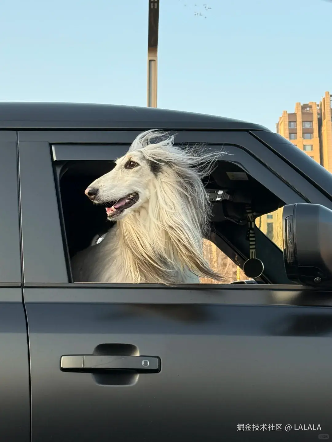 LALALA于2026-02-15 10:36发布的图片