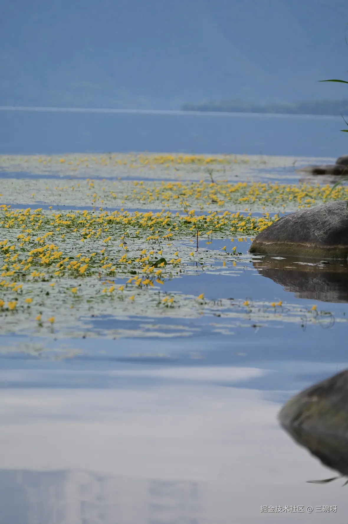 三碗呀于2025-08-11 01:51发布的图片