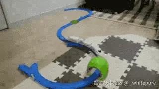 _whitepure于2025-08-27 09:26发布的图片