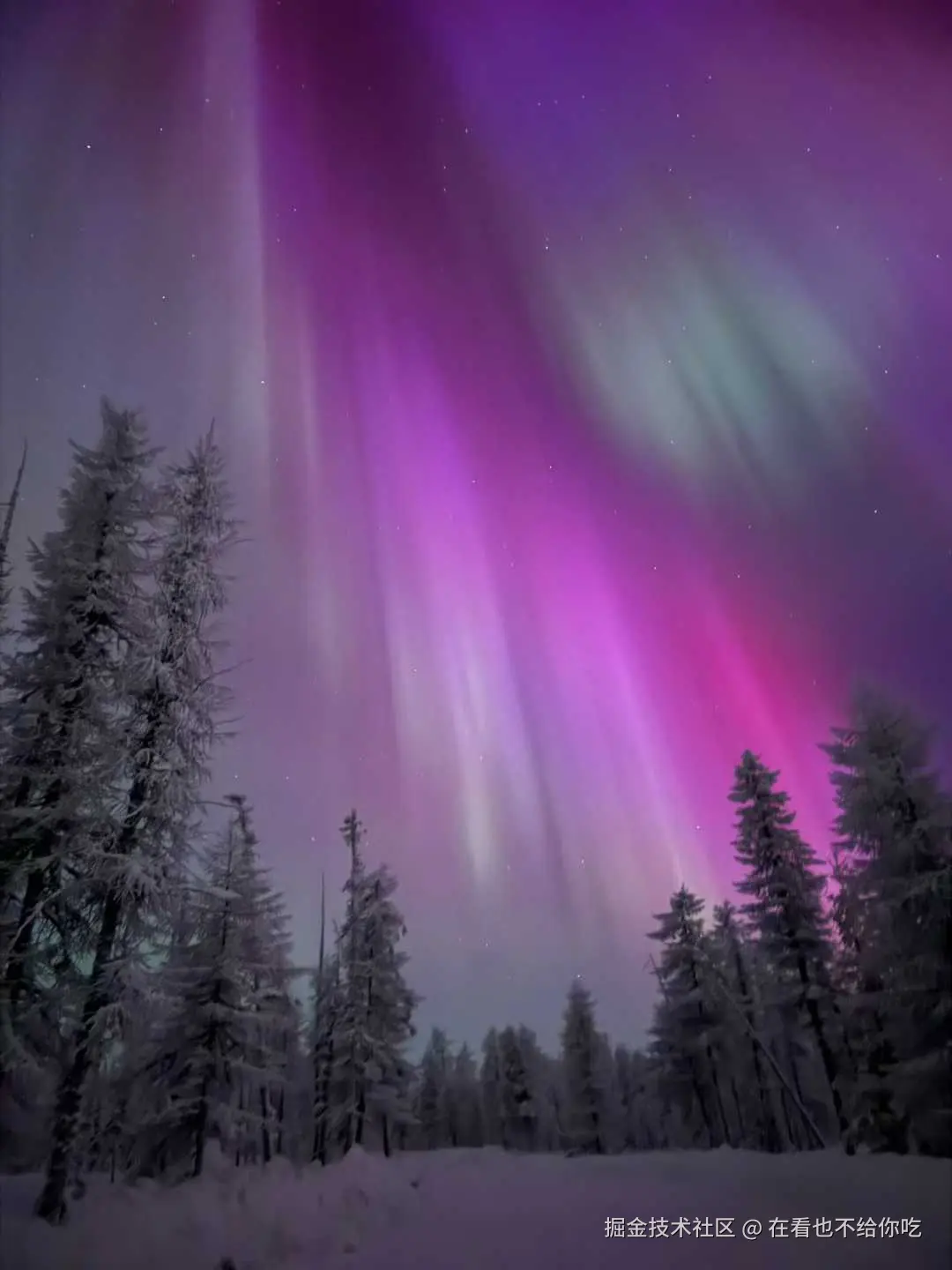 在看也不给你吃于2026-01-22 13:41发布的图片