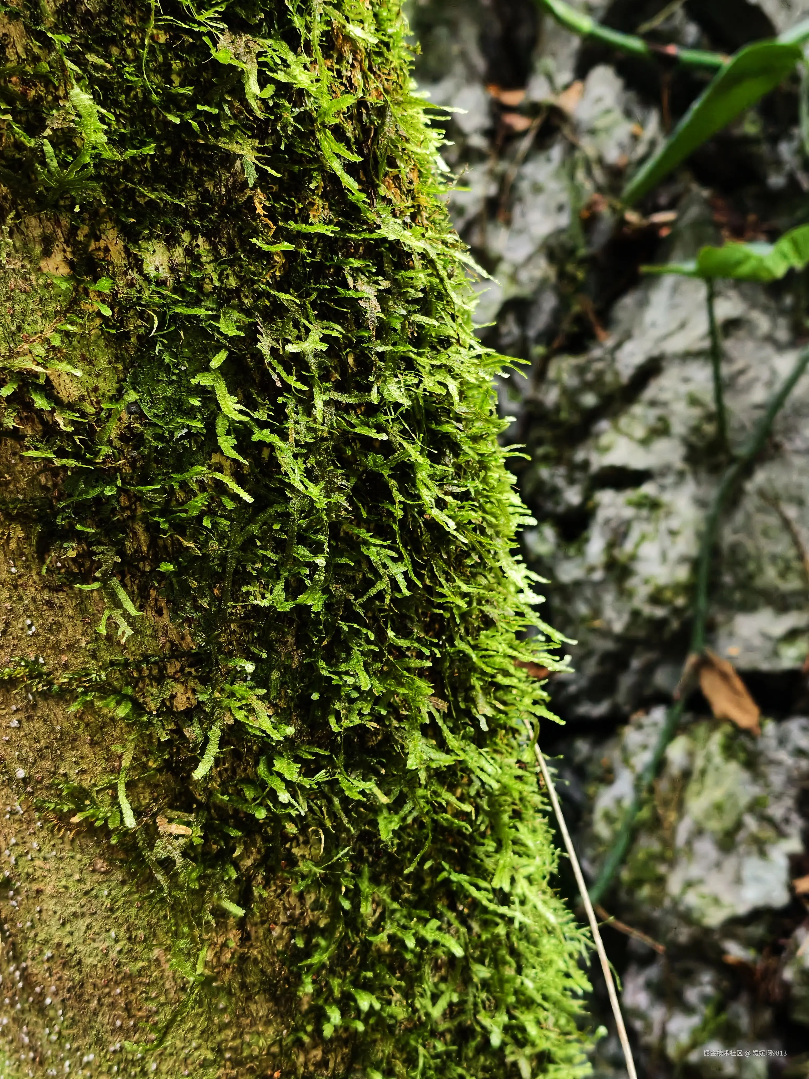 媛媛啊9813于2026-03-22 21:52发布的图片