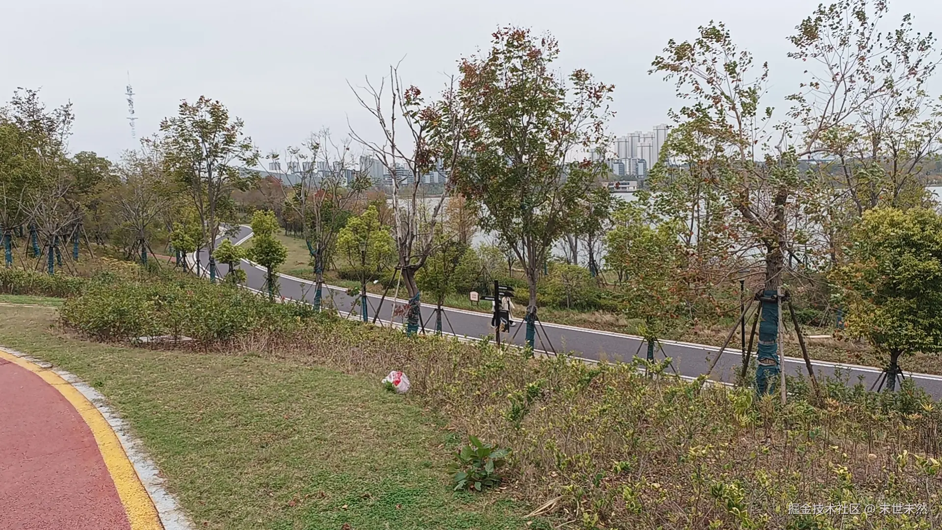 末世未然于2024-11-17 18:38发布的图片