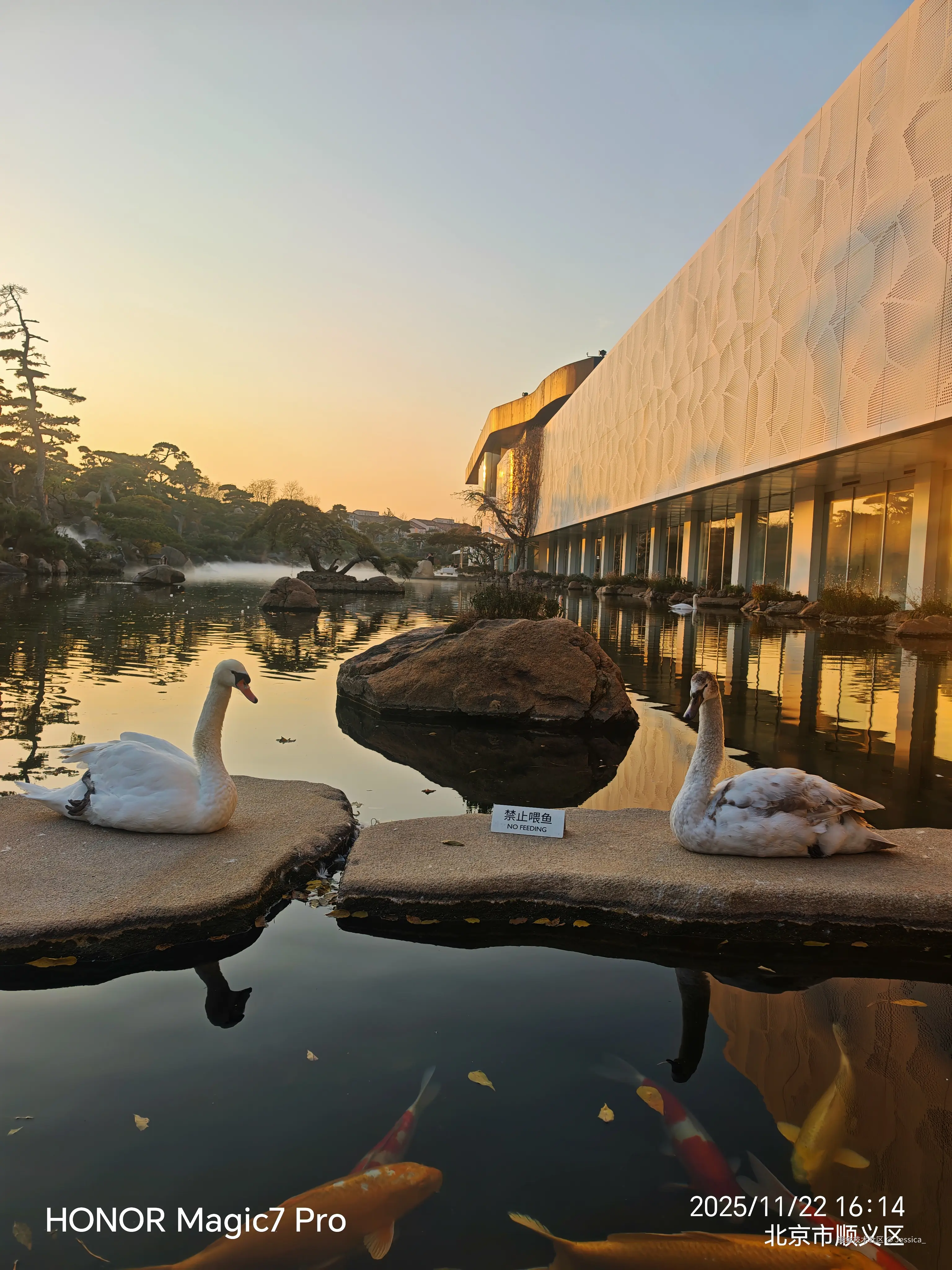 Jessica_于2025-11-22 17:32发布的图片