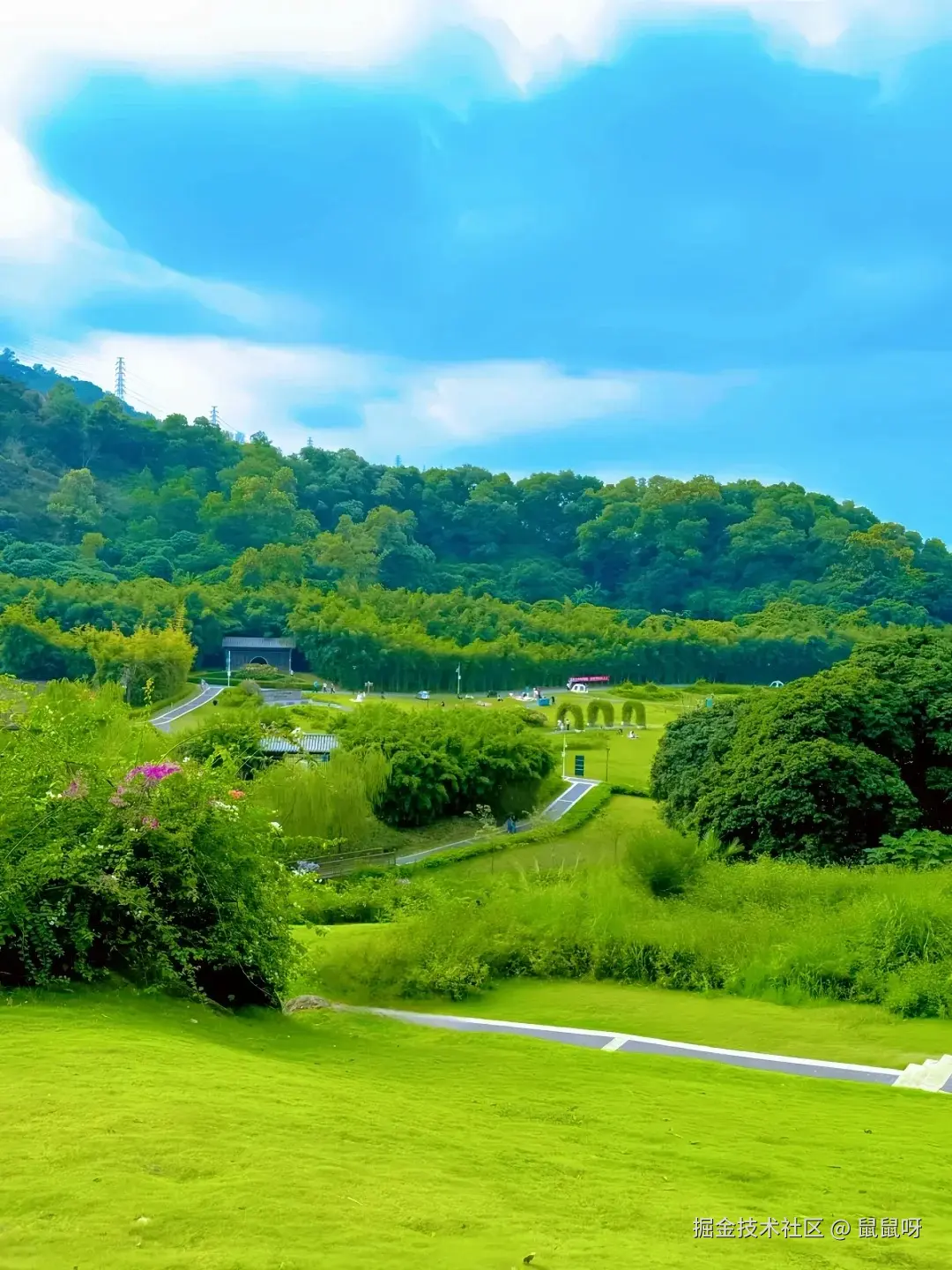 JavaScript 前端基础