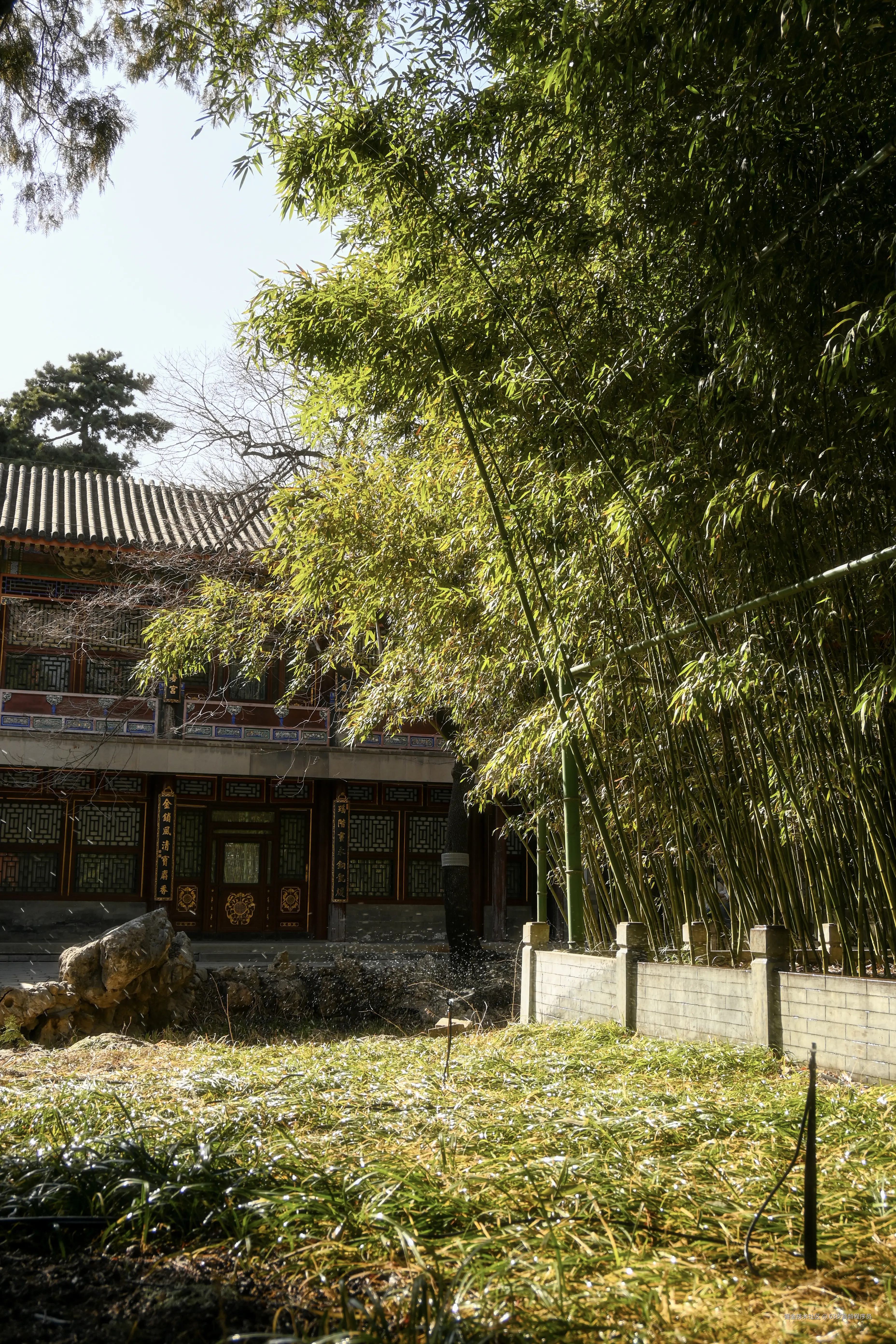 63岁高龄程序员于2026-03-23 16:32发布的图片