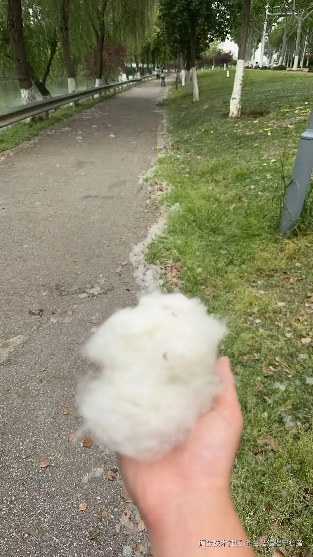 古法编程守护者于2026-04-13 14:34发布的图片