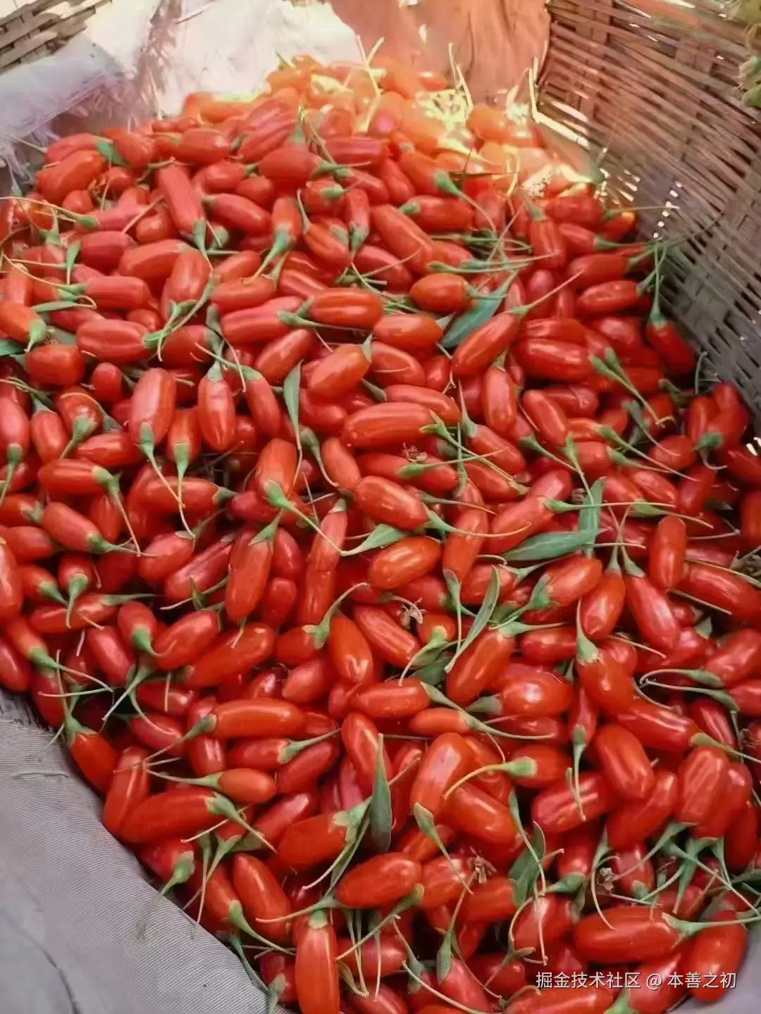 本善之初于2025-06-13 16:10发布的图片