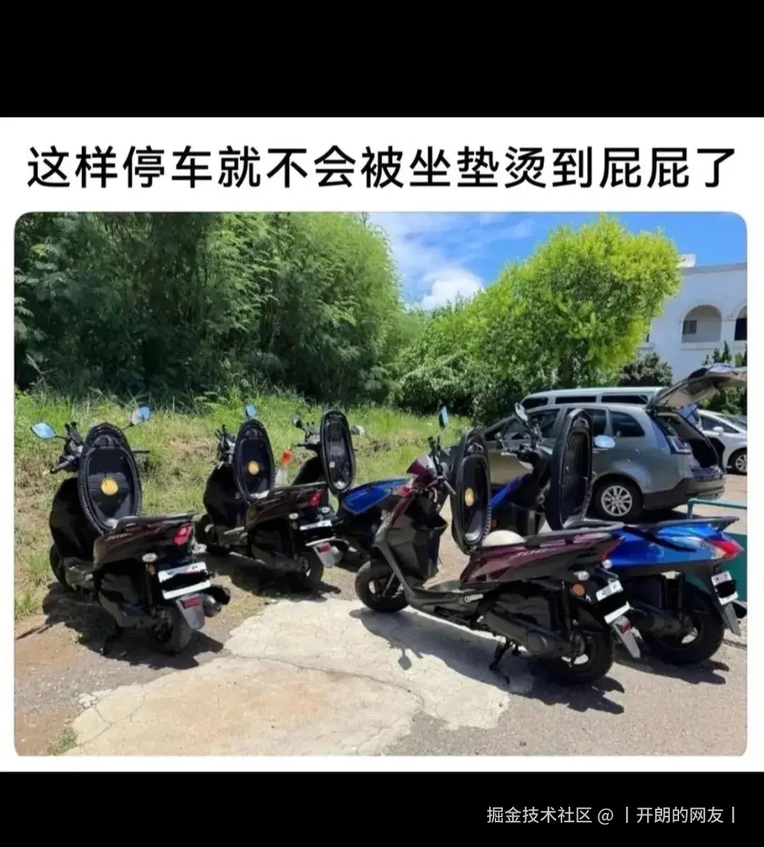 丨开朗的网友丨于2025-05-14 10:46发布的图片