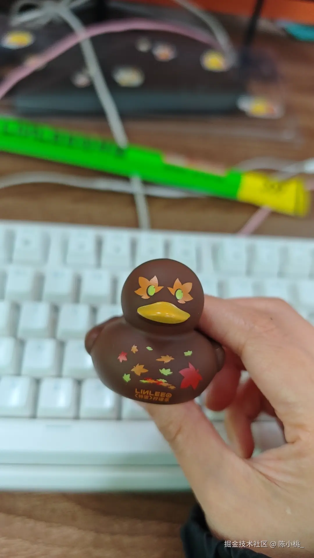 陈小桃_于2025-12-11 12:25发布的图片