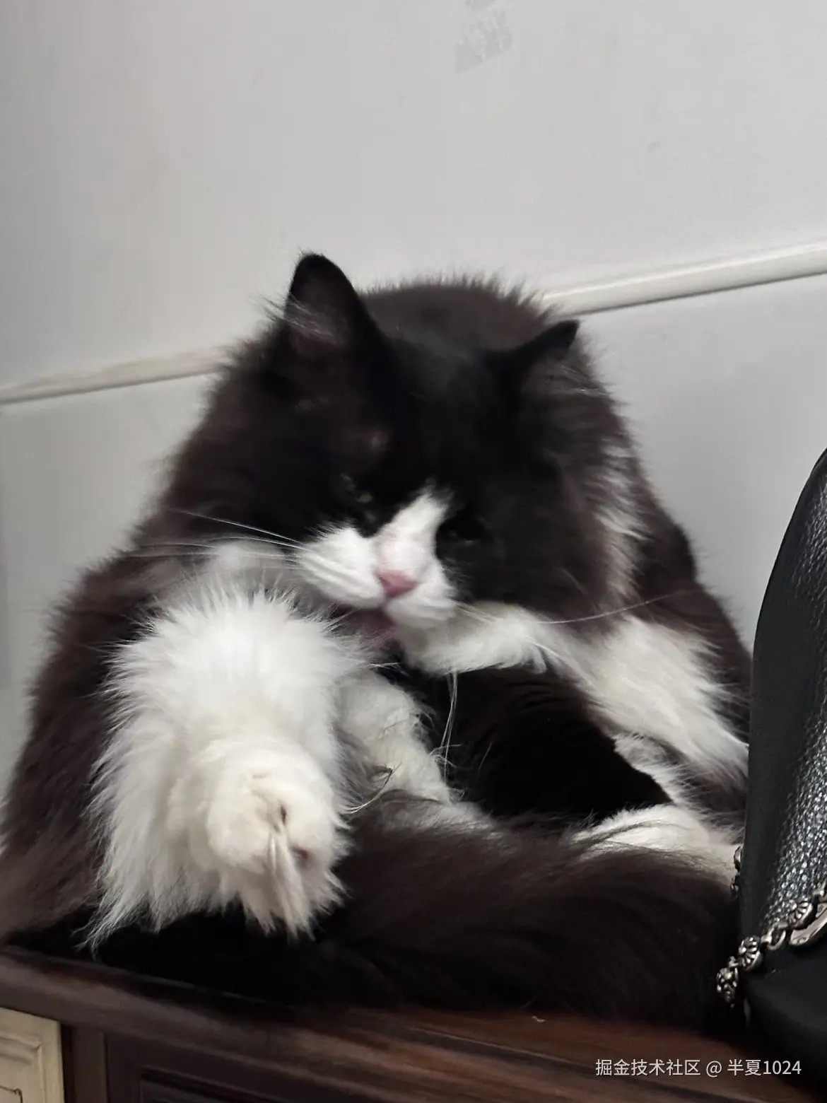 半夏1024于2024-11-25 09:28发布的图片