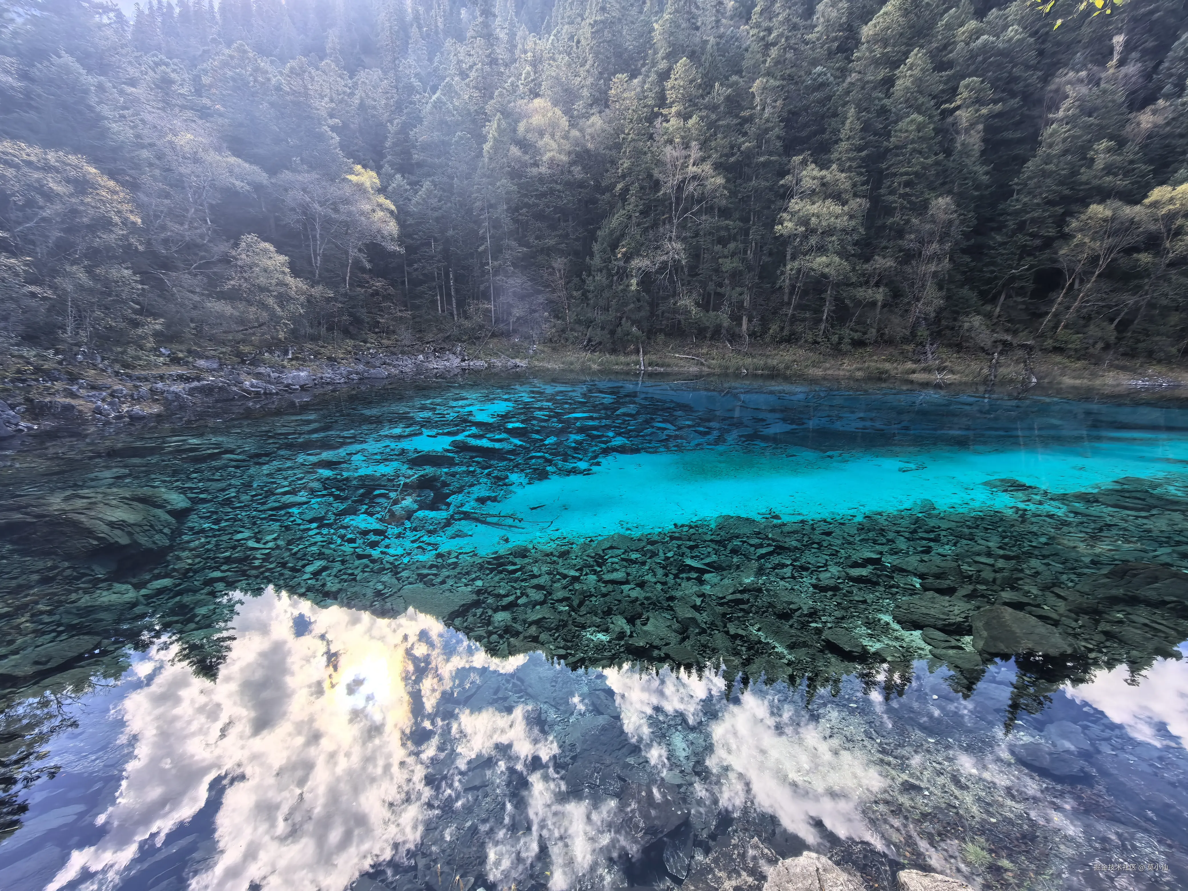 莫小仙于2025-10-09 10:54发布的图片