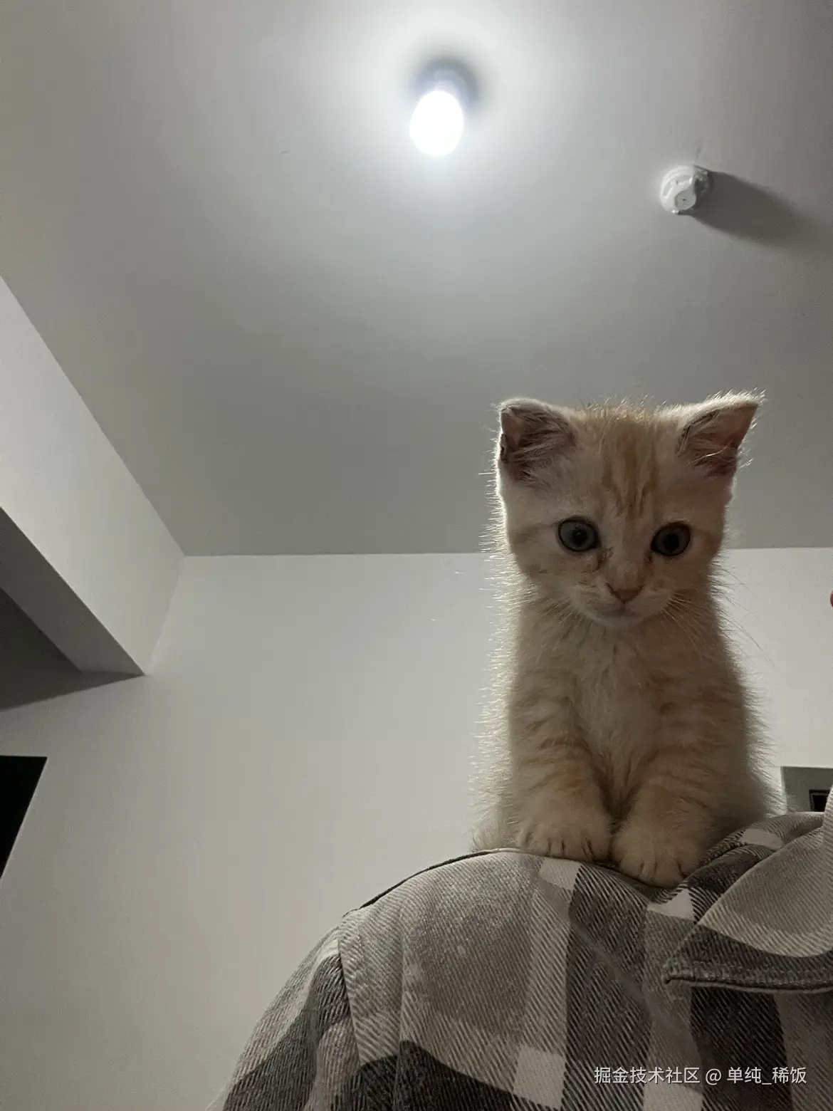 单纯_稀饭于2025-03-06 07:11发布的图片