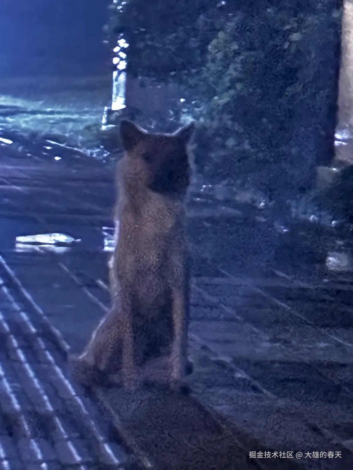 大雄的春天于2024-08-09 17:04发布的图片