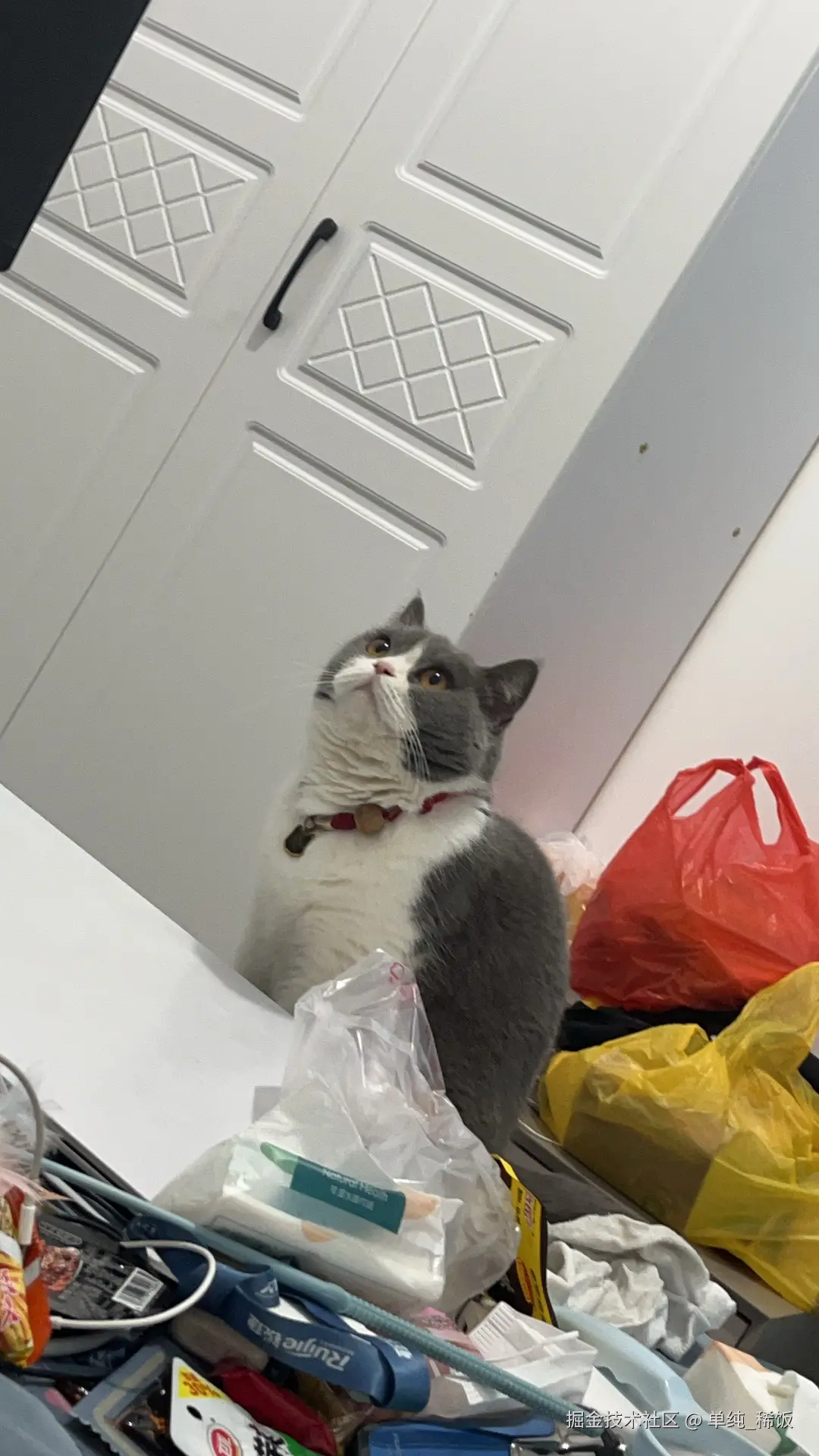 单纯_稀饭于2025-02-07 08:15发布的图片