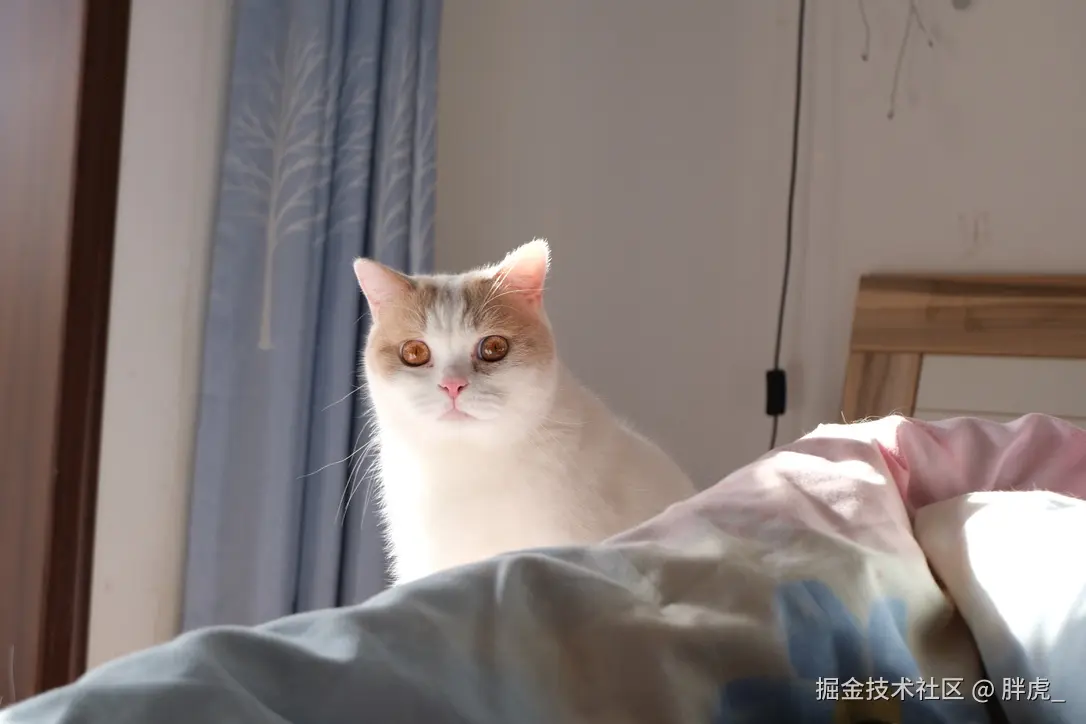 胖虎_于2024-10-22 10:09发布的图片