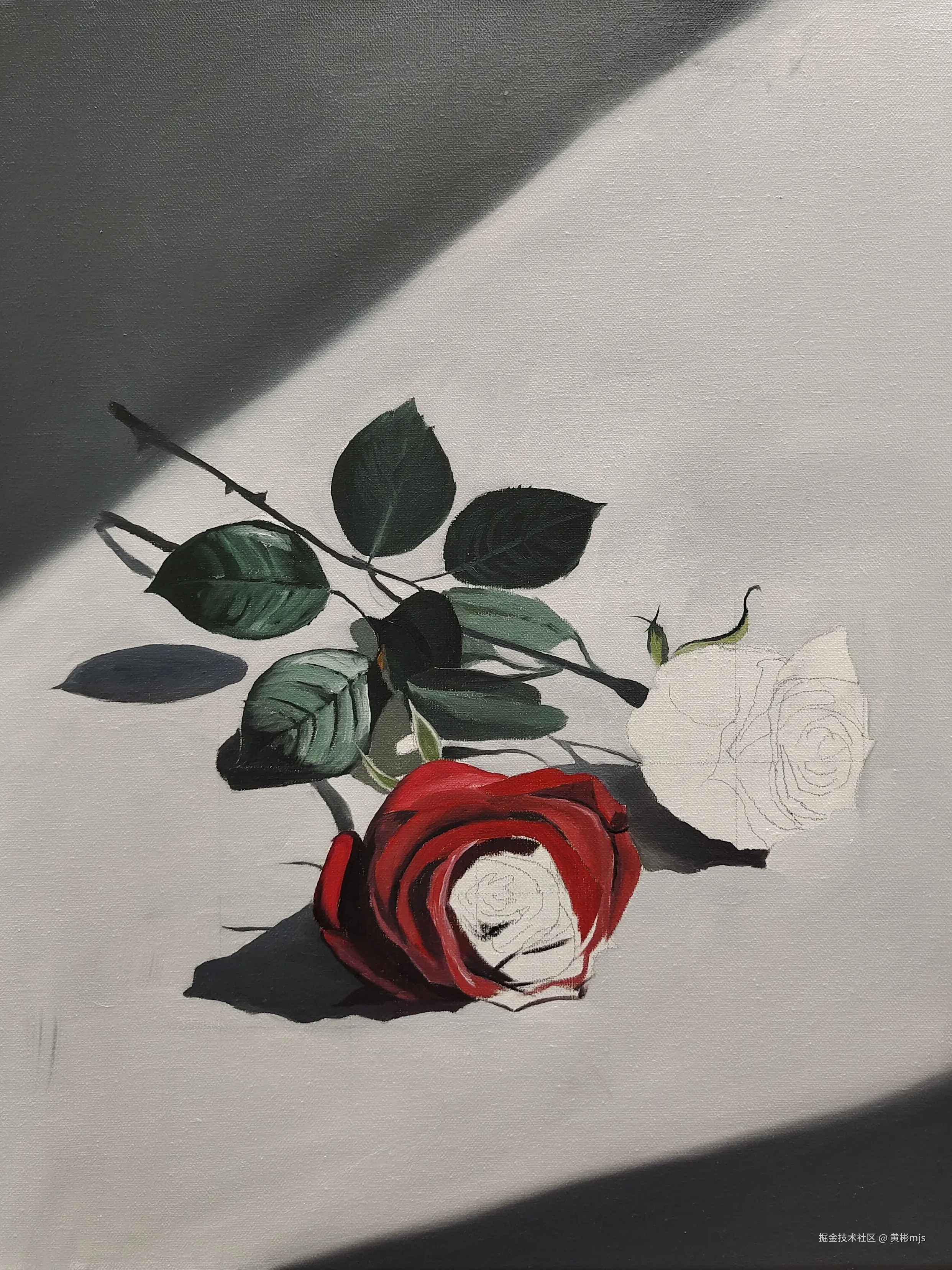 黄彬mjs于2024-11-28 08:37发布的图片