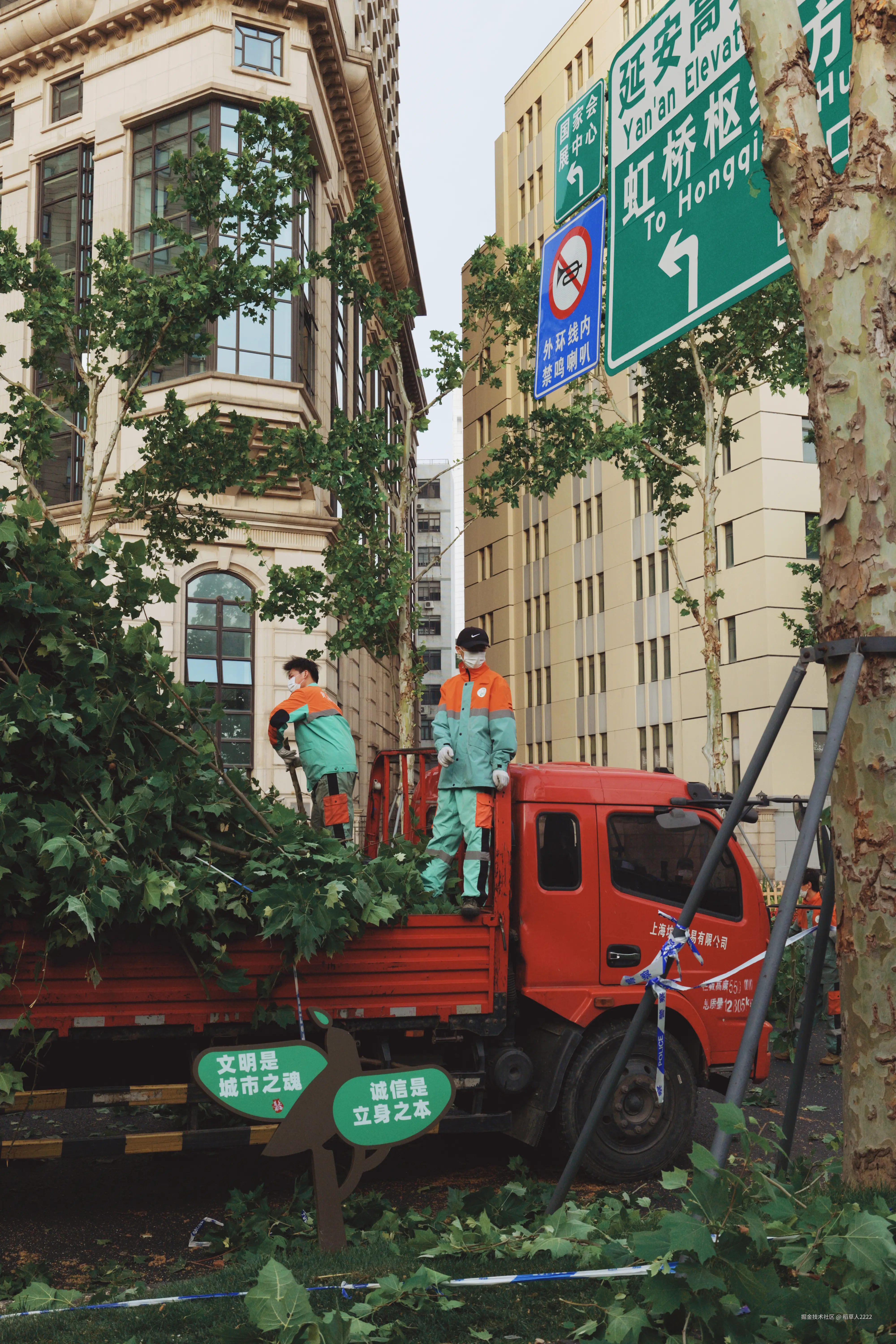 稻草人2222于2025-05-12 18:42发布的图片