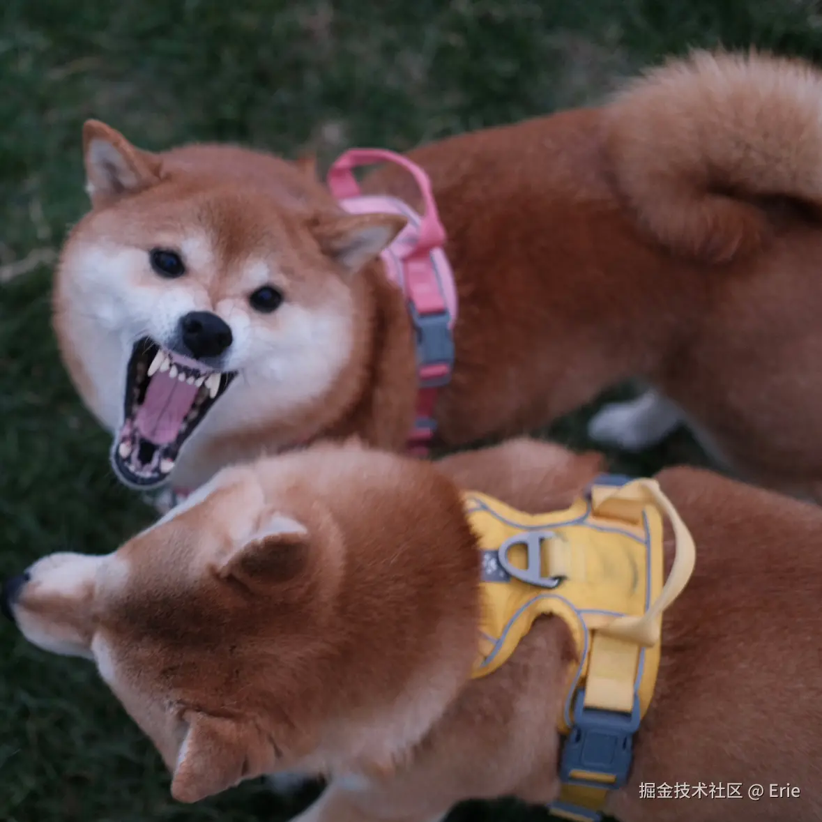 Erie于2024-12-24 10:18发布的图片