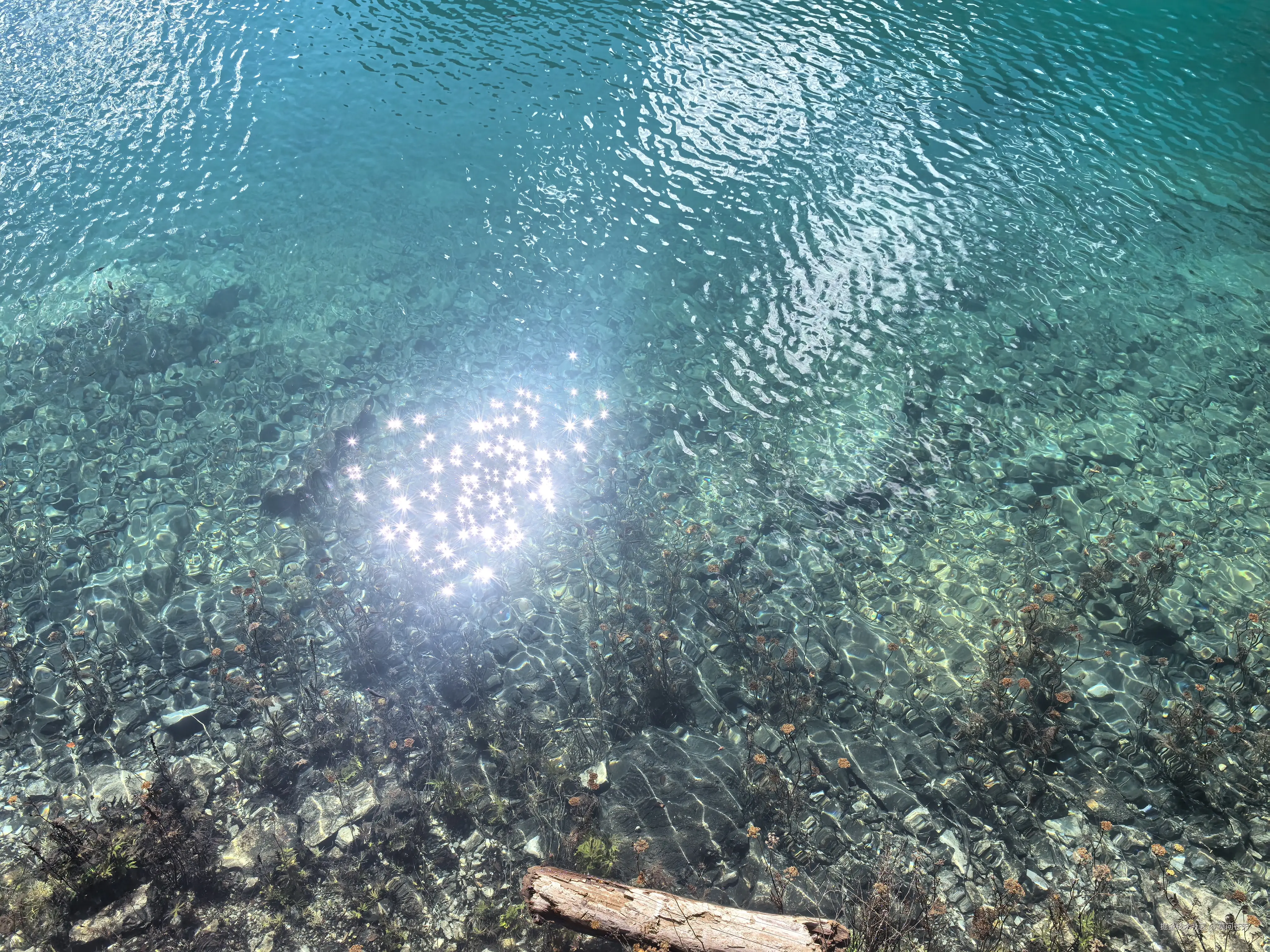 莫问苍天于2025-10-09 10:54发布的图片