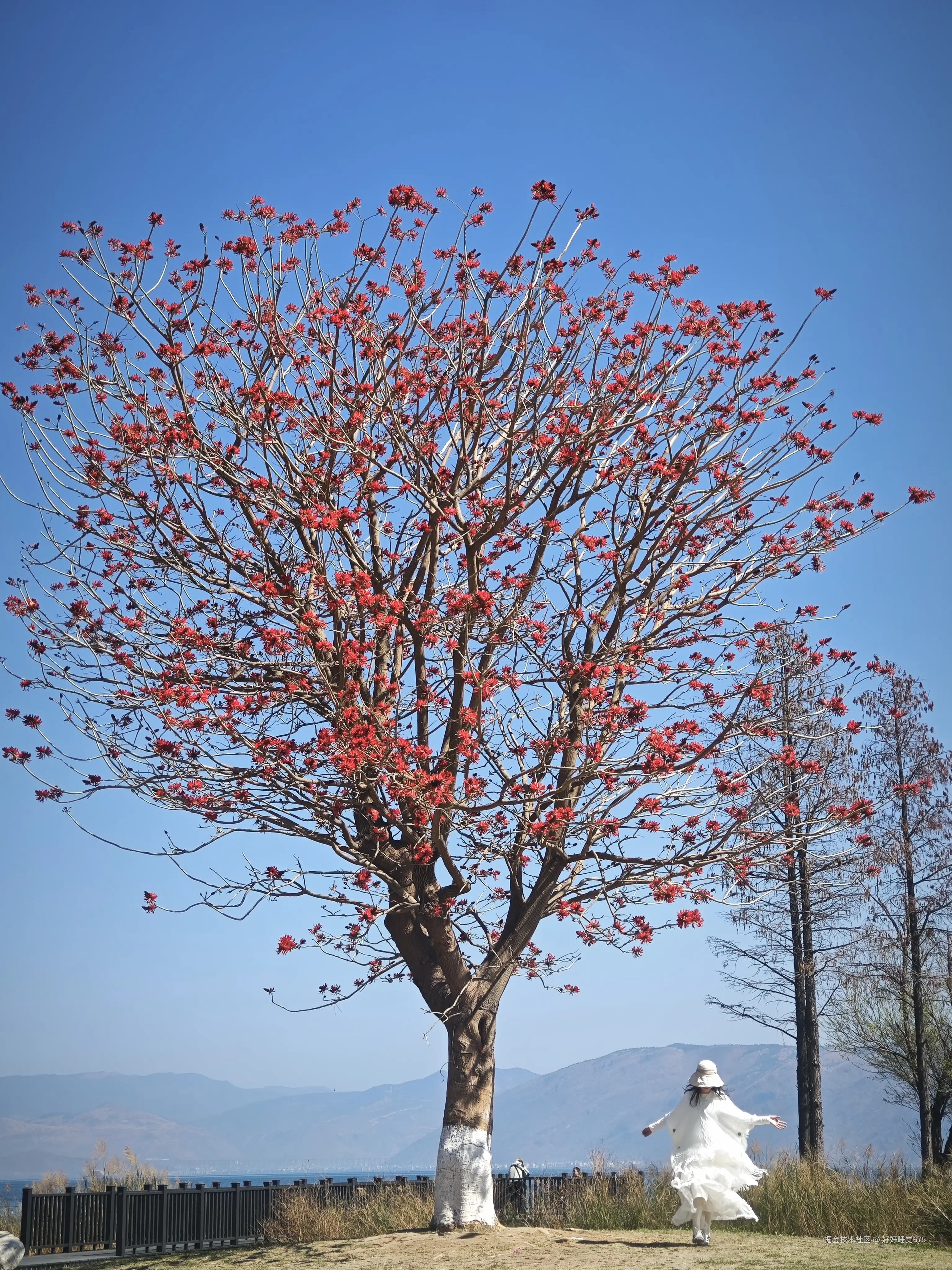 好好睡觉675于2026-02-25 11:10发布的图片