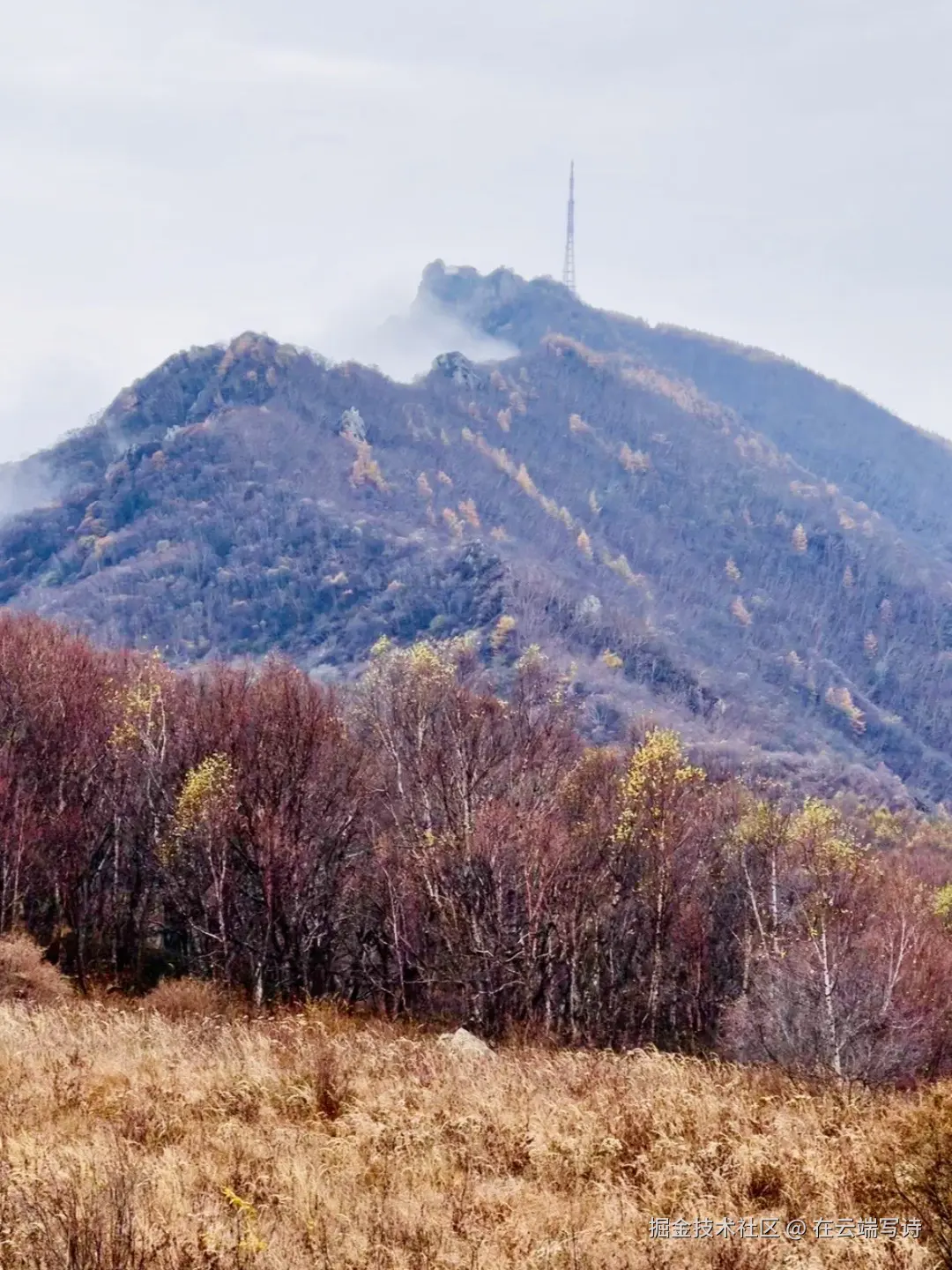 在云端写诗于2025-10-20 10:47发布的图片