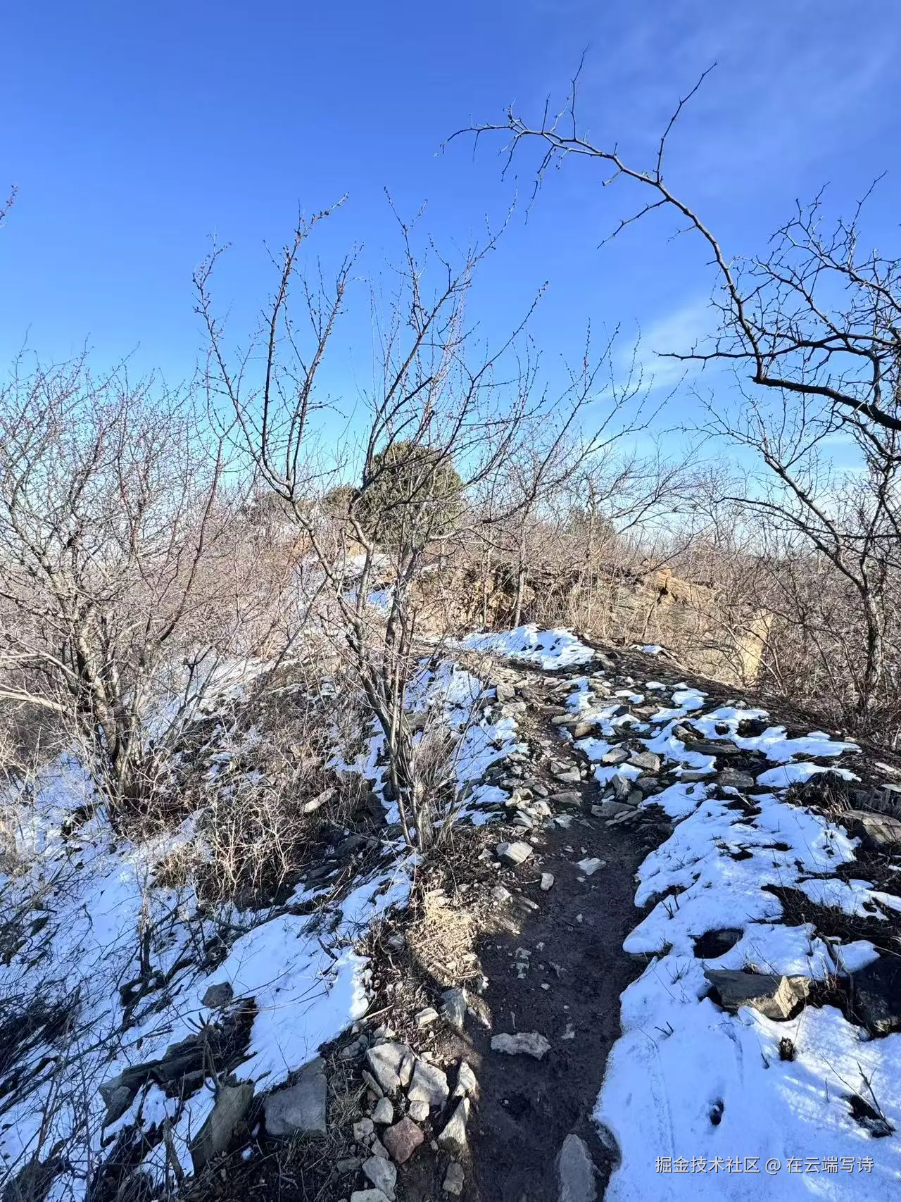 在云端写诗于2026-03-09 10:38发布的图片