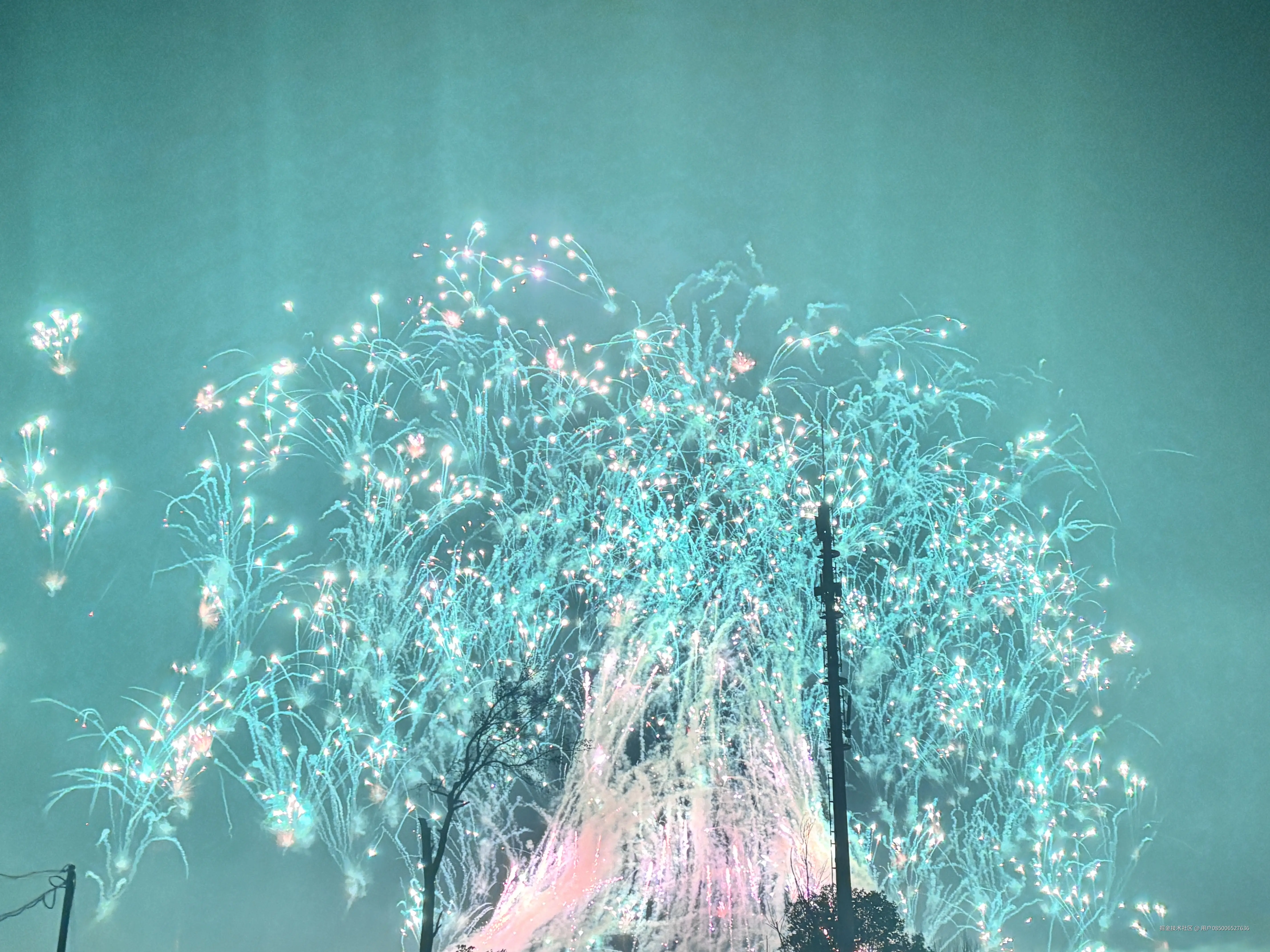 用户085006527636于2026-02-24 02:24发布的图片