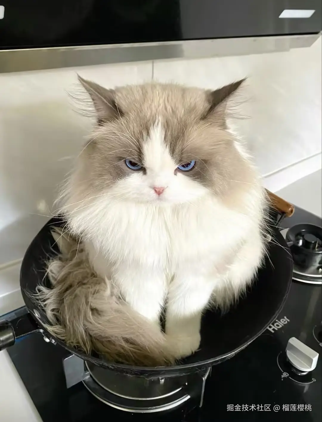 榴莲櫻桃于2024-12-27 09:15发布的图片