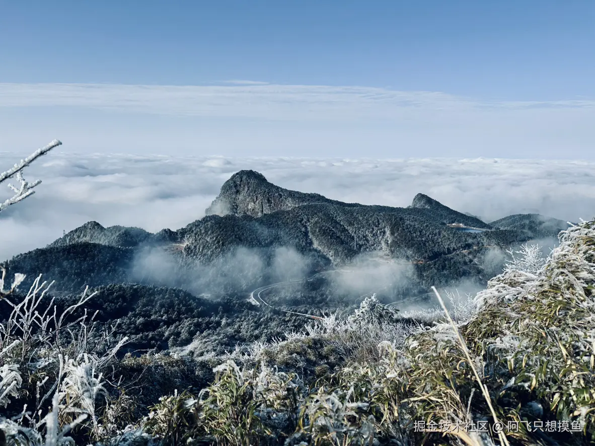 阿飞只想摸鱼于2026-02-11 14:33发布的图片