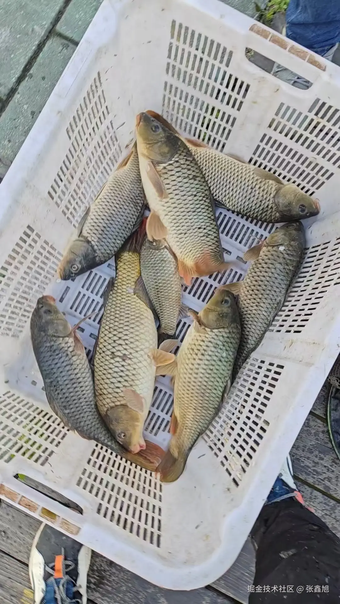 张鑫旭于2025-03-17 15:04发布的图片